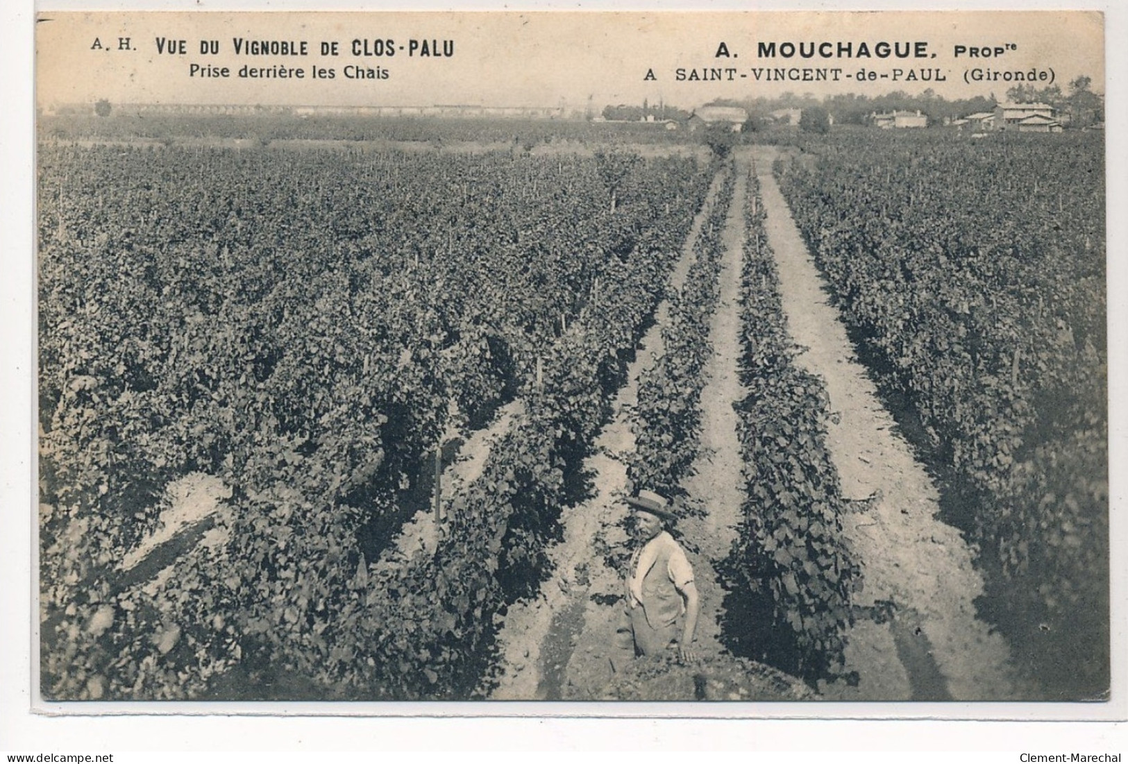 SAINT-VINCENT-DE-PAUL : Vue Du Vignoble De Clos-palu, Prise Derriere Les Chais, A. Mouchague - Tres Bon Etat - Autres & Non Classés