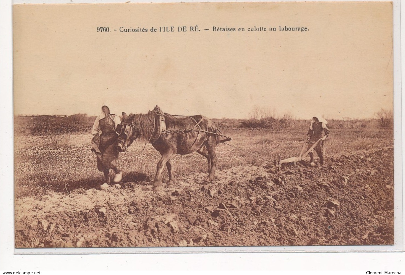 ILE DE RE : Curiosités, Rétaises En Culotte Au Labourage, Cheval - Tres Bon Etat - Ile De Ré