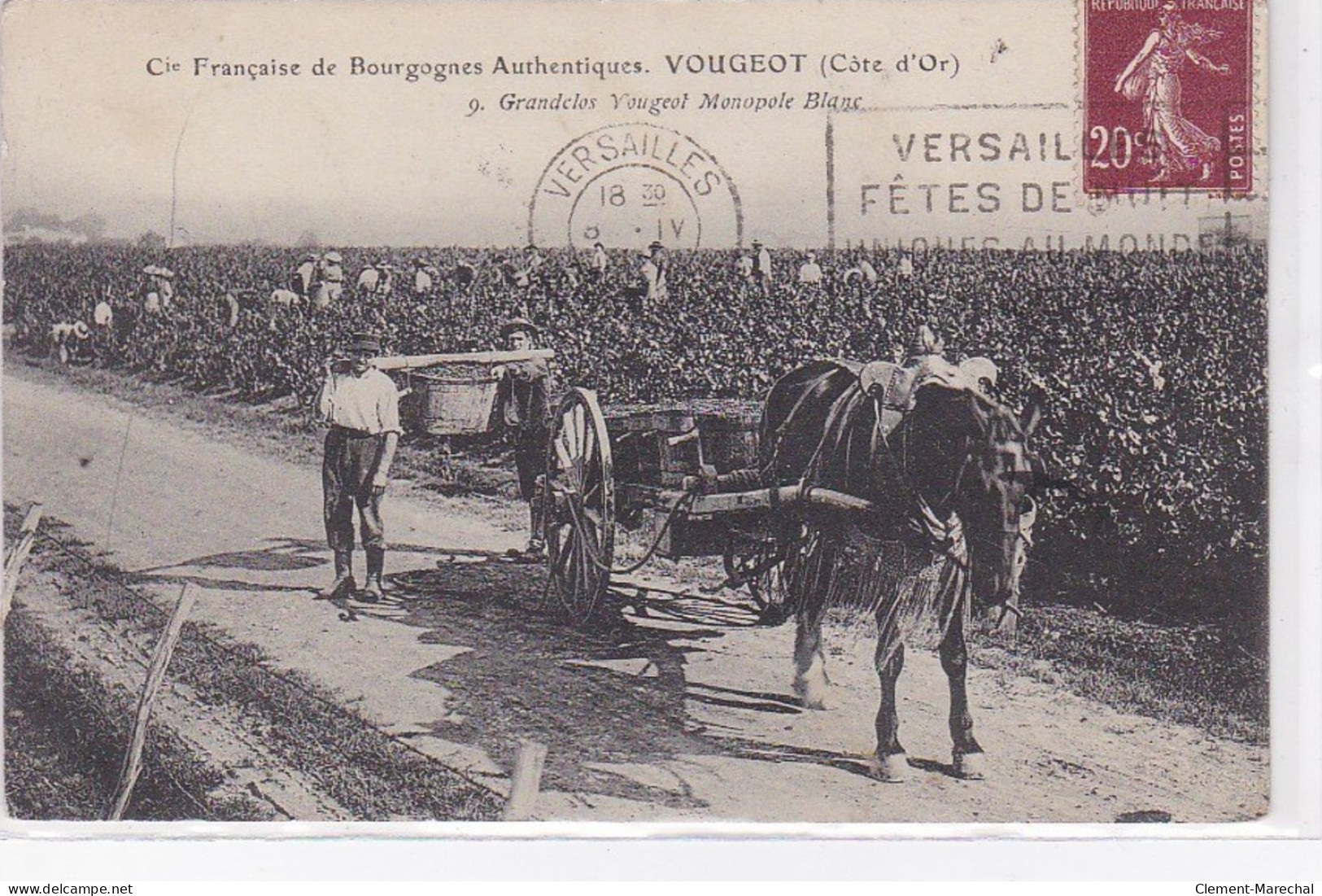 VOUGEOT : Compagnie Française De Bourgognes Authentiques - Grandclos Vougeot (vendanges - Vins)- Très Bon état - Altri & Non Classificati