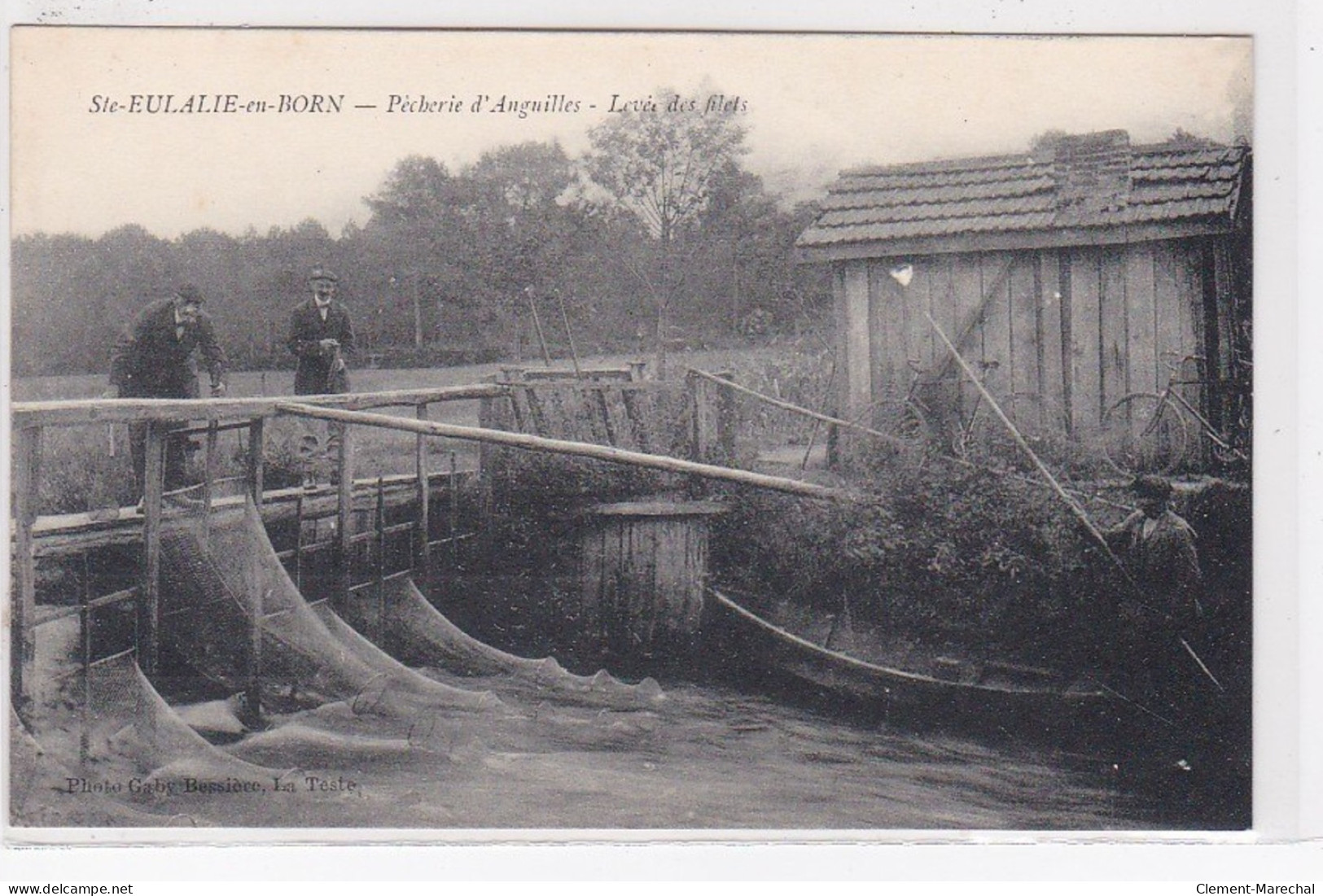 SAINTE EULALIE EN BORN : Pêcherie D'anguilles - Levée Des Filets - Très Bon état - Other & Unclassified