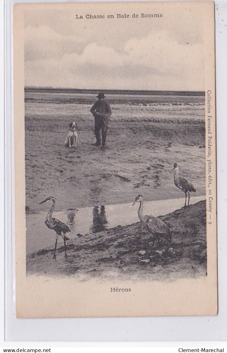 LA CHASSE EN BAIE DE SOMME : Hérons - Très Bon état - Peronne