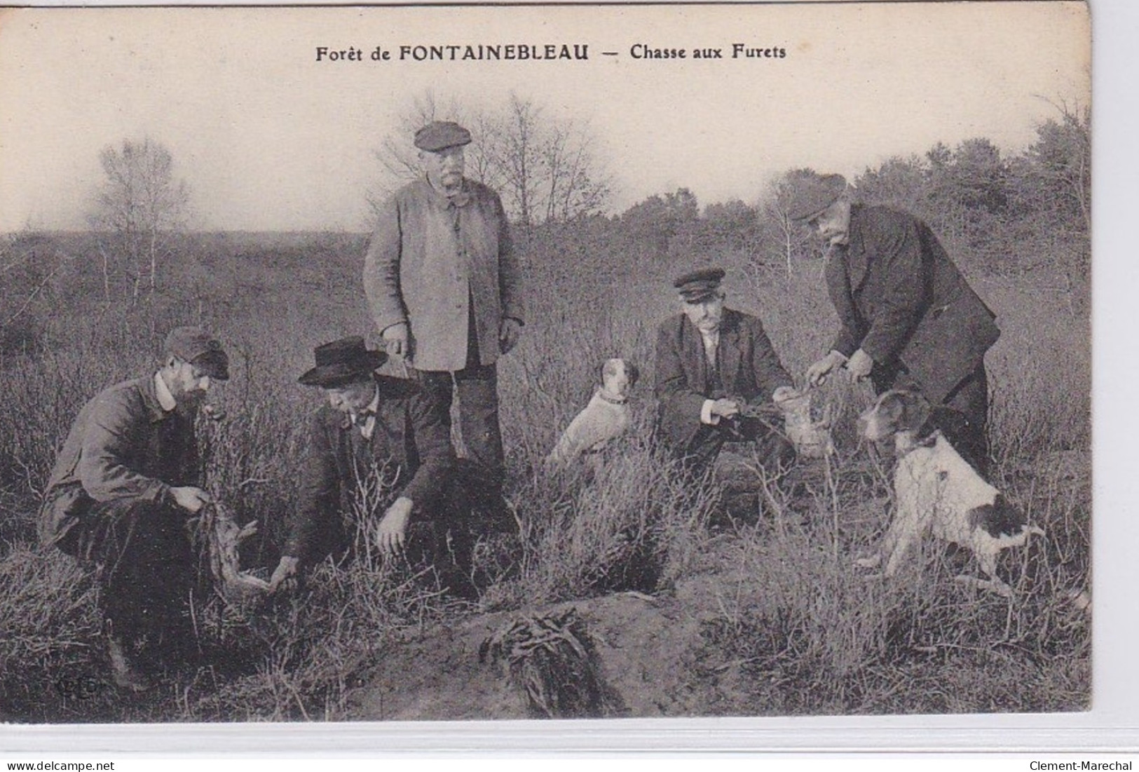 FORET DE FONTAINEBLEAU : Chasse Aux Furets - Très Bon état - Fontainebleau