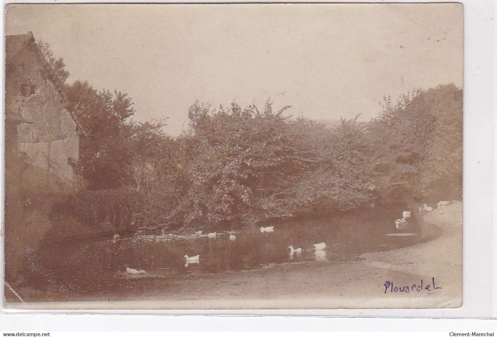 PLOUARDEL (PLOUARZEL) : Carte Photo - état - Other & Unclassified