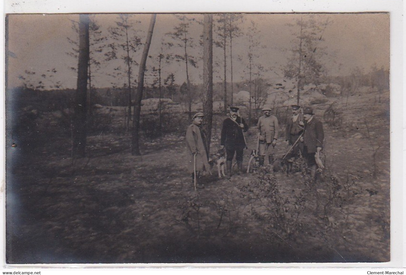 FORET D'ORLEANS : Carte Photo D'une Scène De Chasse à Tir (Sologne) - Très Bon état - Orleans