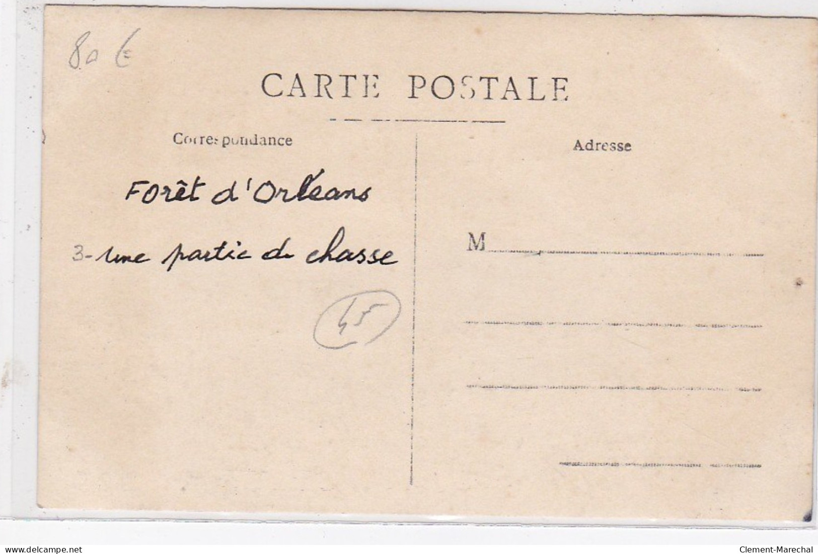 FORET D'ORLEANS : Carte Photo D'une Scène De Chasse à Tir (Sologne) - Très Bon état - Orleans