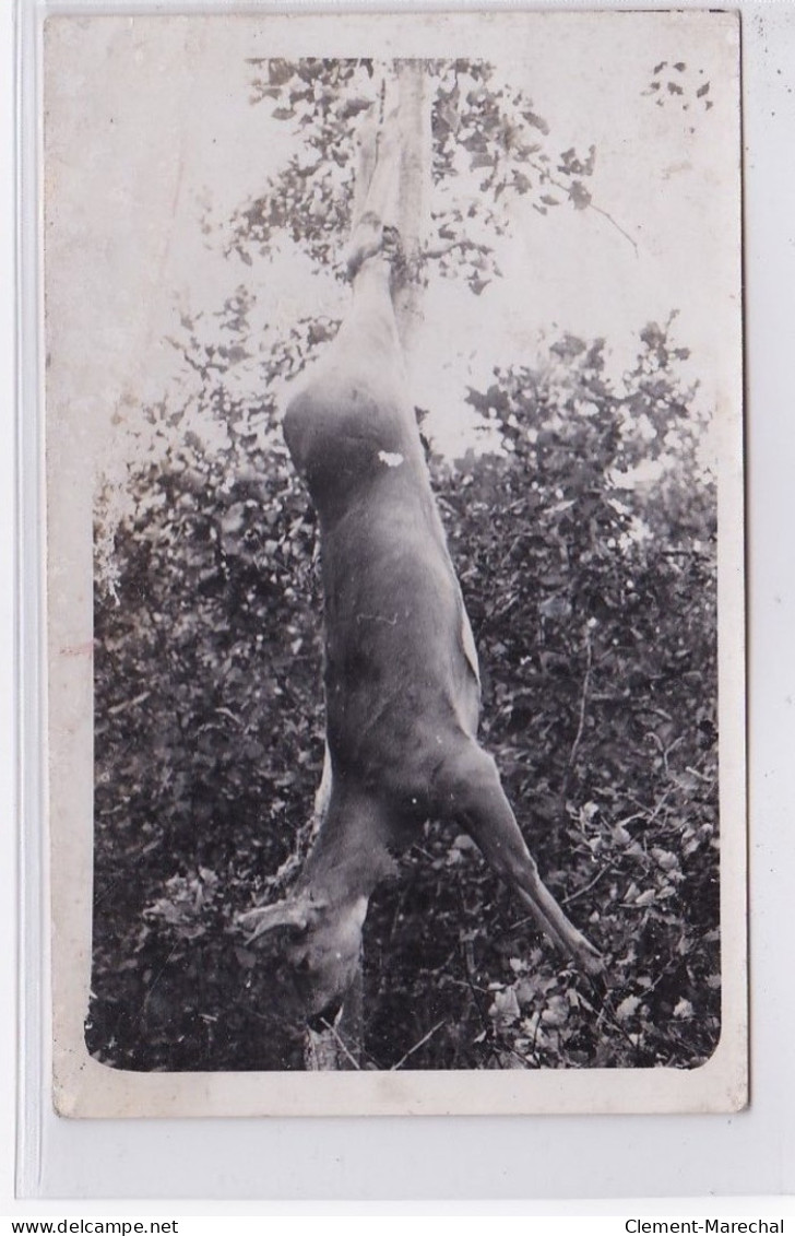 JURA : Carte Photo D'une Chasse Au Bois De Chatillon En 1934 - Très Bon état - Altri & Non Classificati