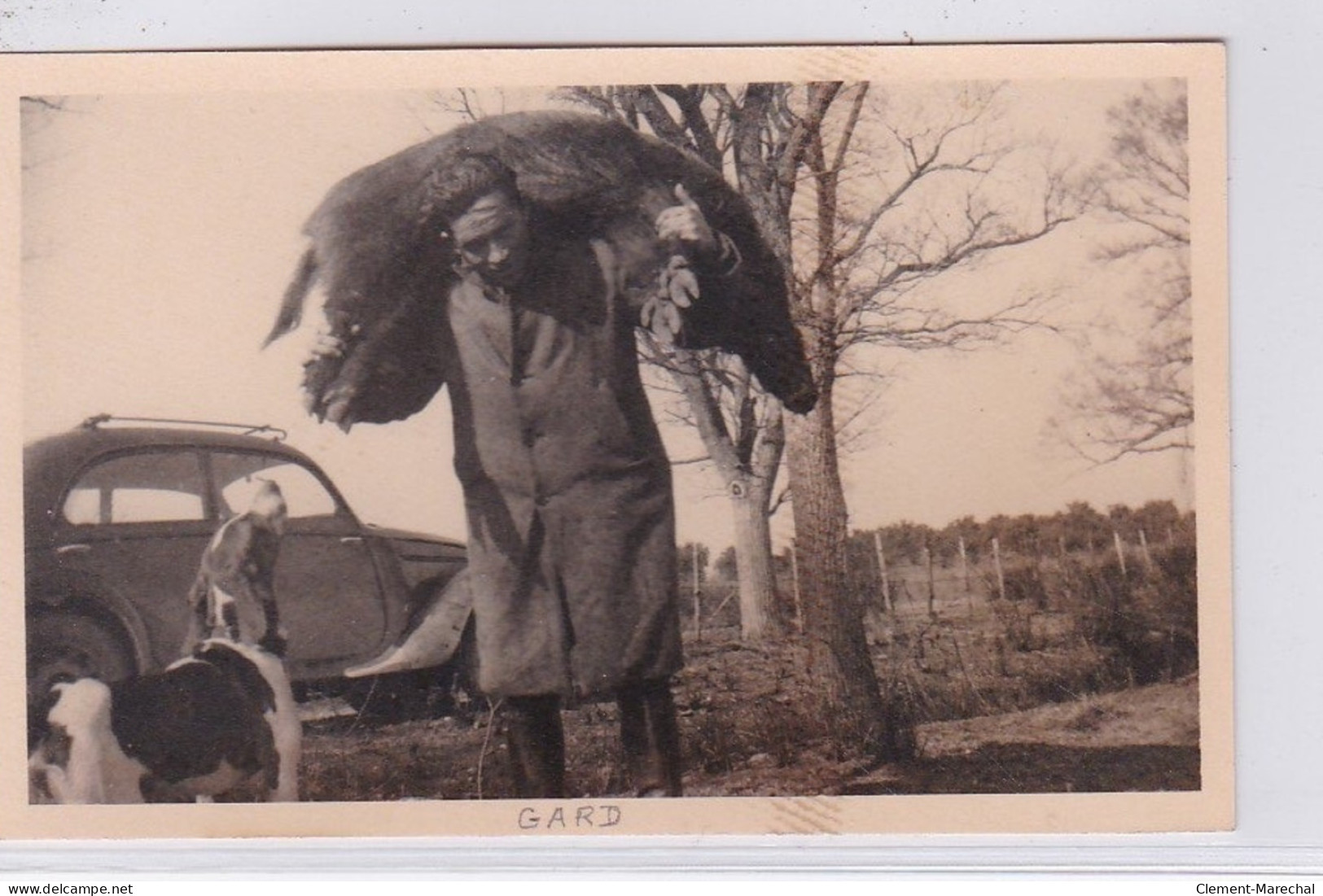 Photo Format Cpa D'une Scène De Chasse Sur La Route D'UZES à 9 Km De Nimes - Très Bon état - Altri & Non Classificati