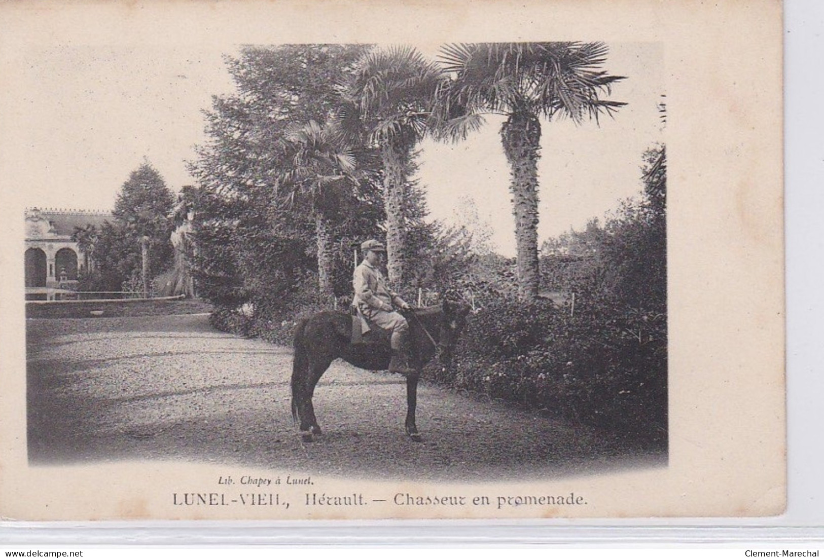 LUNEL VIEIL : Un Chasseur En Promenade - Très Bon état - Lunel