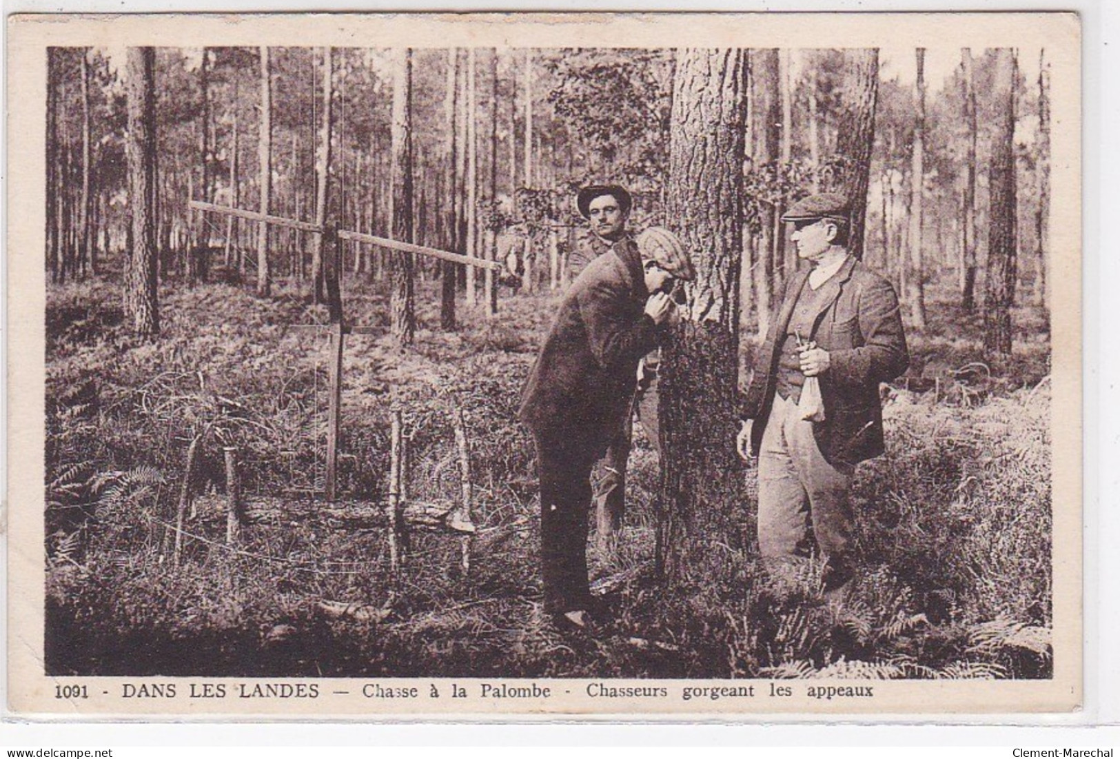 DANS LES LANDES : Chasse à La Palombe - Chasseurs Gorgeant Les Appeaux - état - Andere & Zonder Classificatie