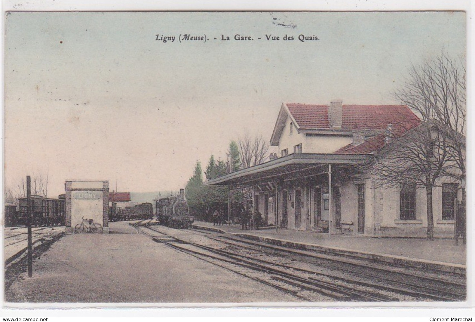 LIGNY : La Gare Vue Des Quais - Très Bon état - Ligny En Barrois