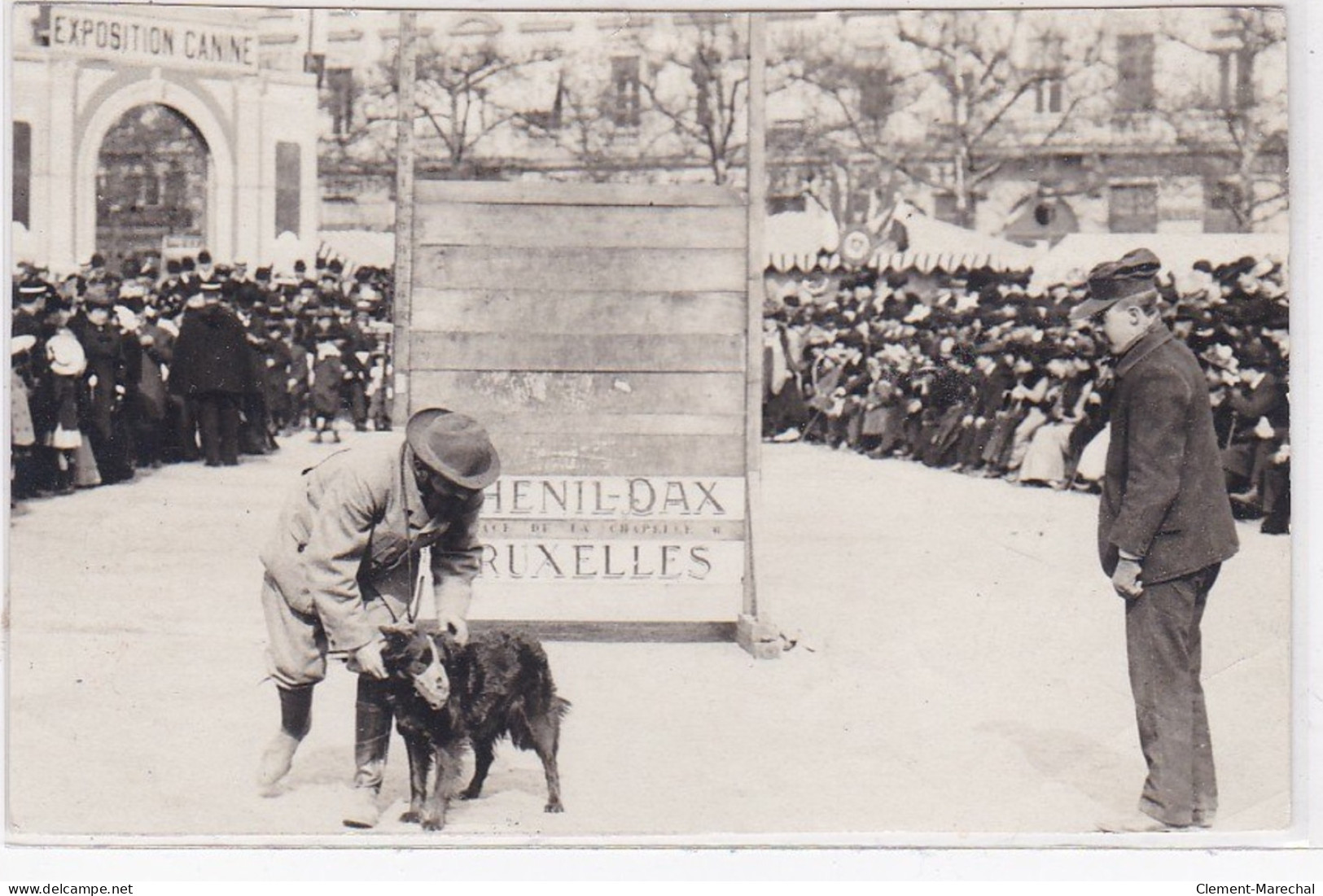 LYON : Photo Format Cpa - Chiens De Police (dressage En 1948) - Très Bon état - Otros & Sin Clasificación