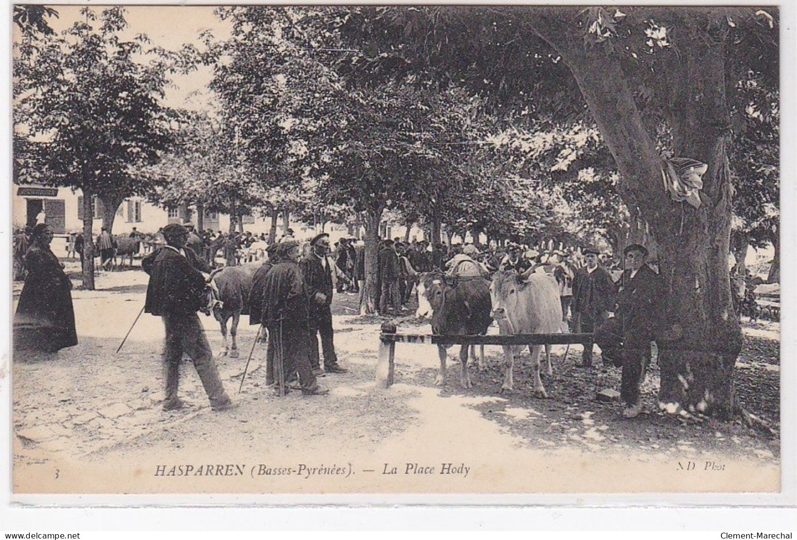 HASPARREN : Un Marché Sur La Place Hody - Très Bon état - Hasparren