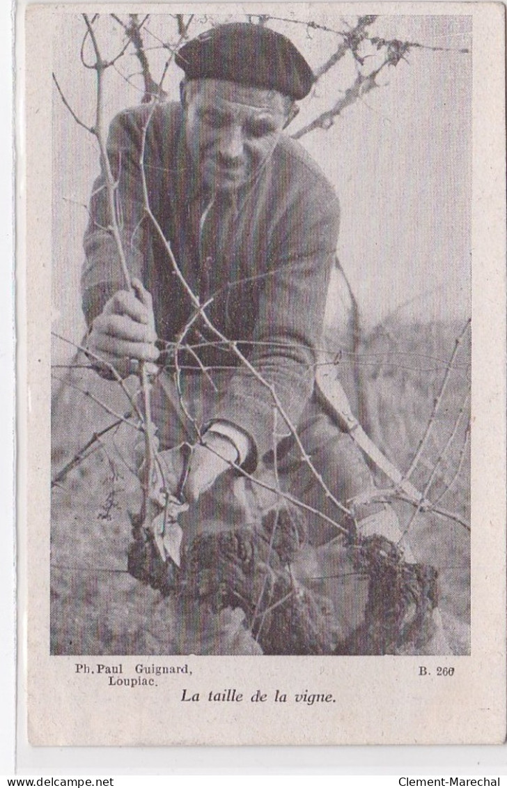 LOUPIAC (environs) : La Taille De La Vigne (vendanges - Vins) (photo Guignard) - Très Bon état - Altri & Non Classificati