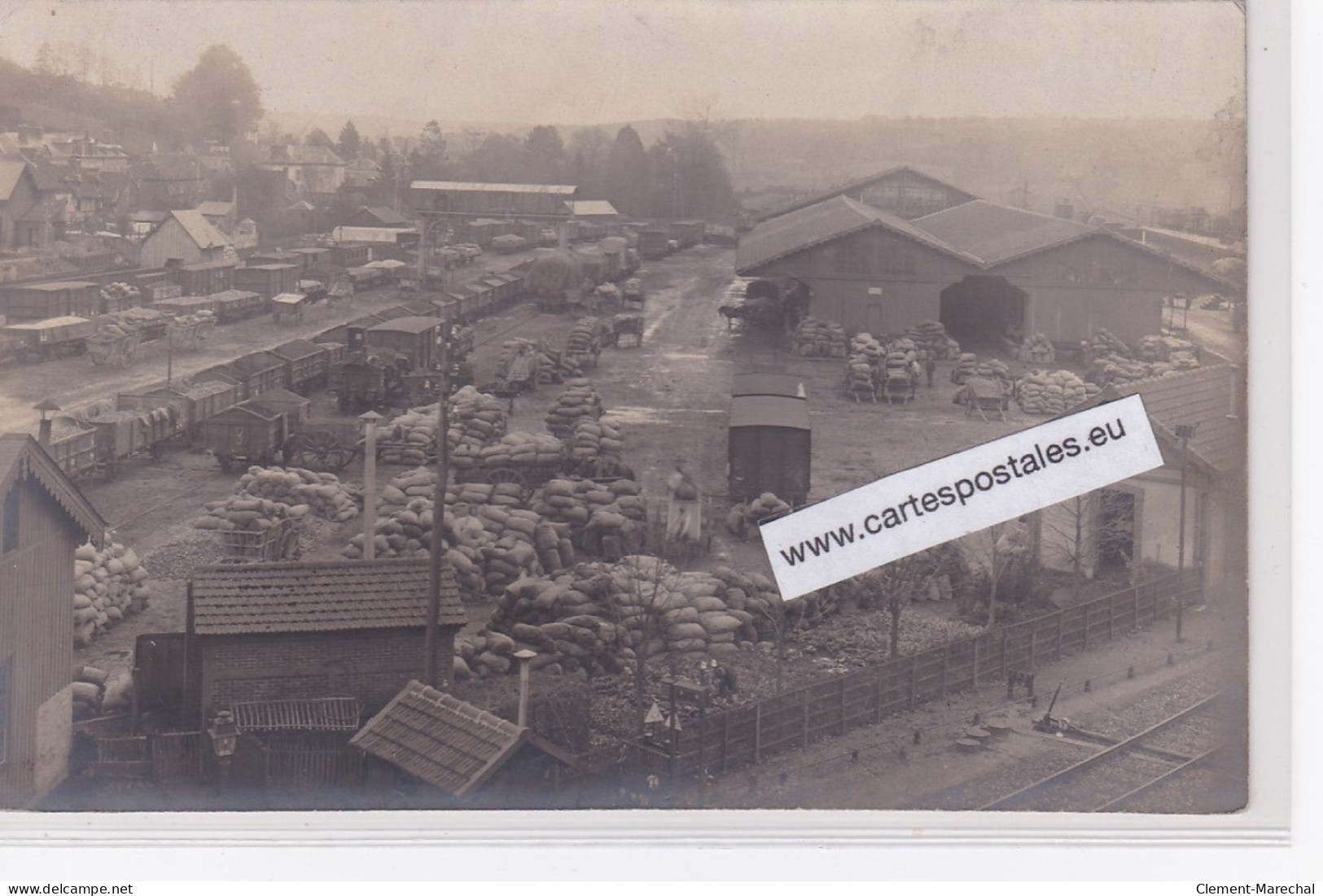 LISIEUX : Carte Photo Des Grèves (sacs De Pommes Bloqués à La Gare) - Très Bon état - Lisieux