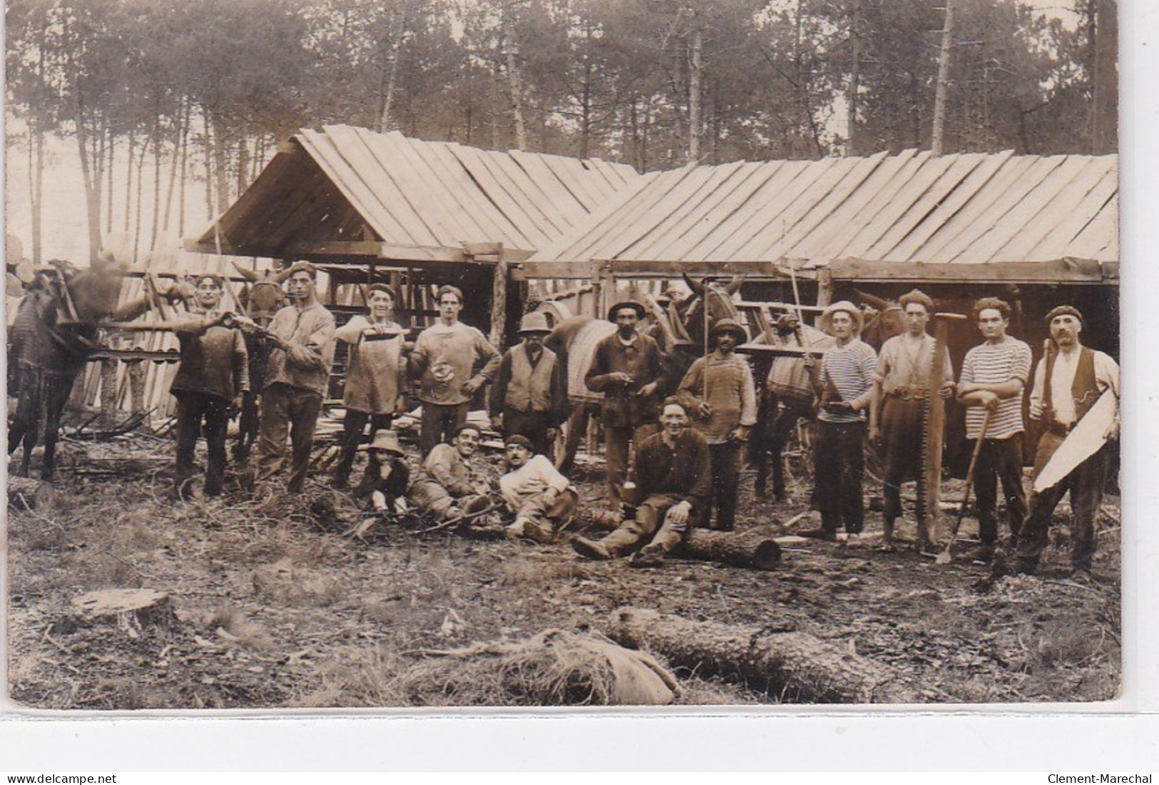 BOOS : Carte Photo D'une Scierie - Très Bon état - Andere & Zonder Classificatie