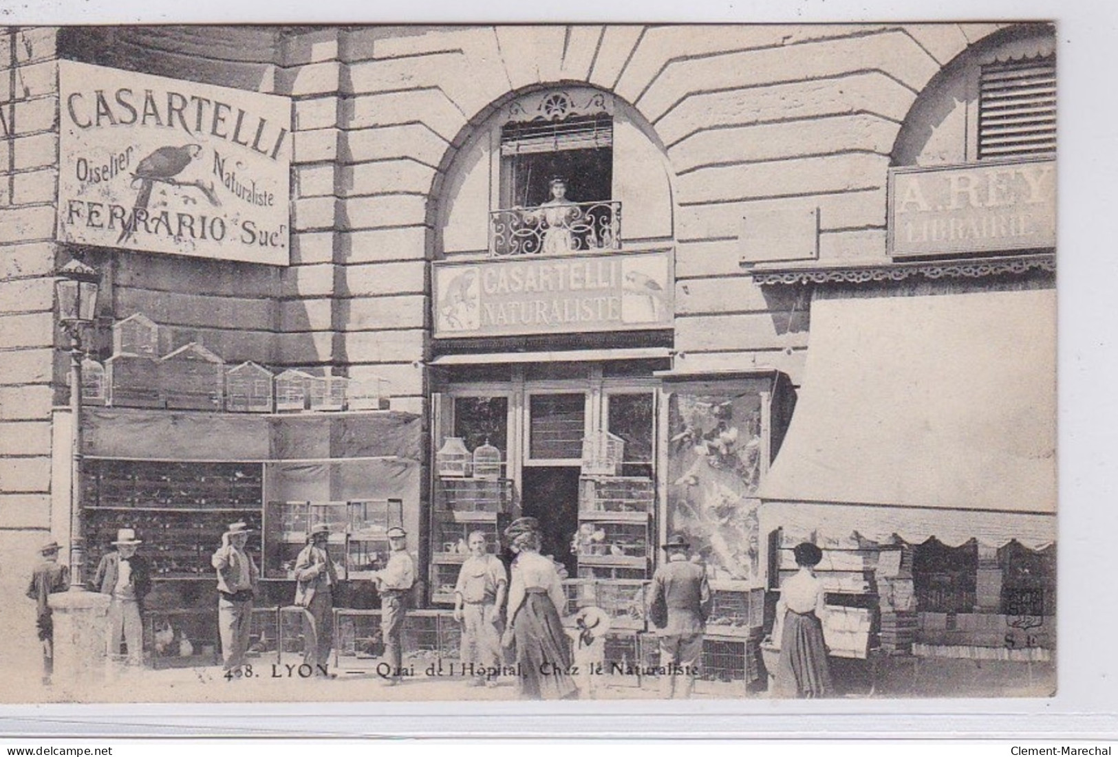 LYON : Magasin Du Naturaliste CASARTELLI - Quai De L'hopital - Très Bon état - Autres & Non Classés