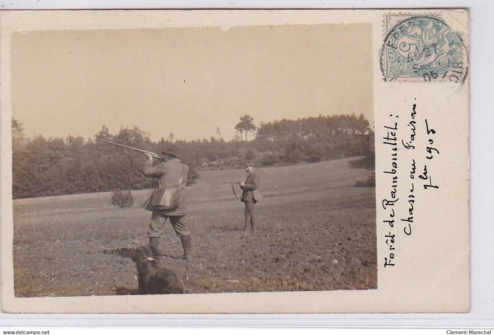 RAMBOUILLET : Carte Photo D'une Chasse Au Faisans En Foret (1905) - Bon état (un Coin Plié) - Rambouillet