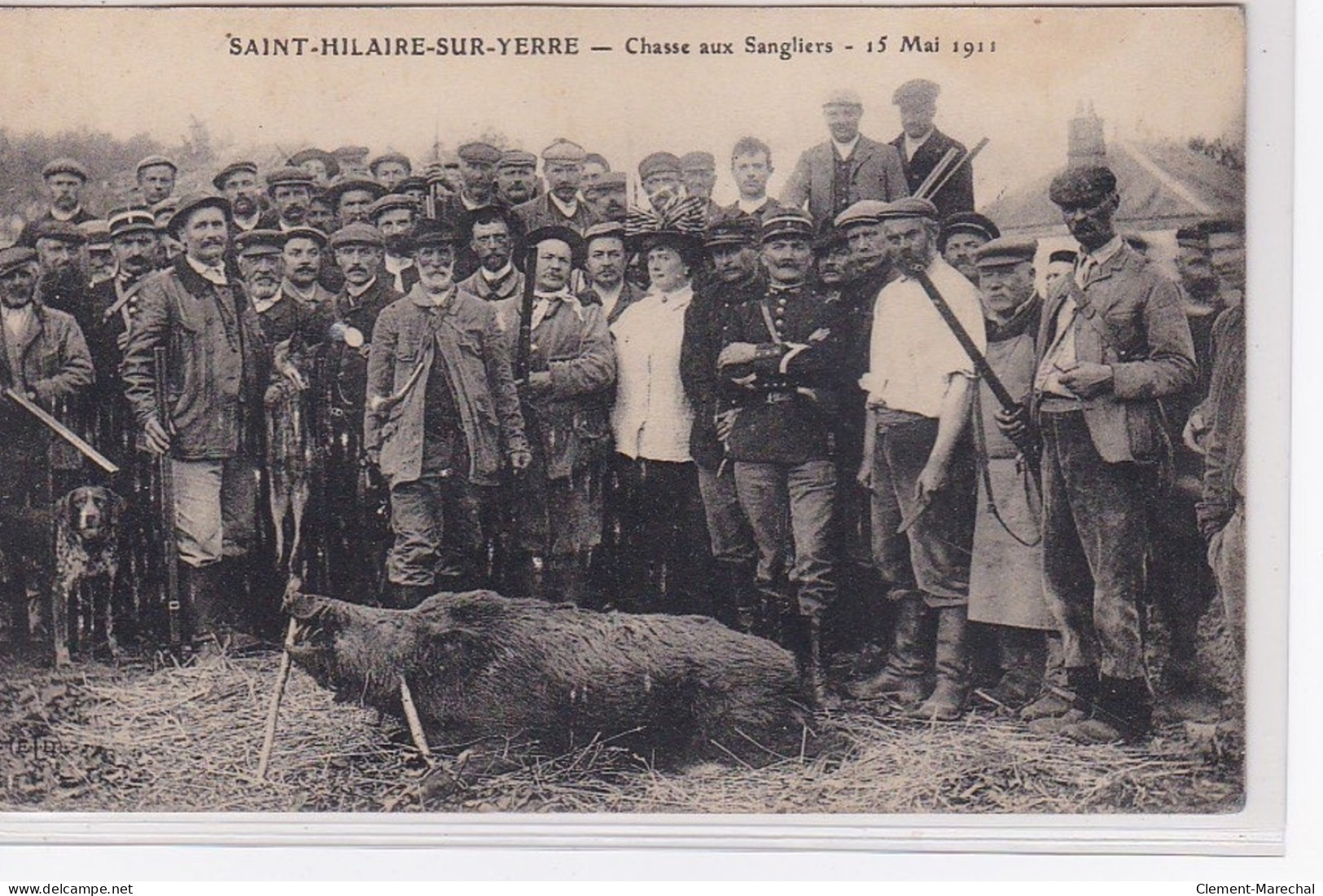 SAINT HILAIRE SUR YERRE : Chasse Au Sanglier Le 15 Mai 1911 - Très Bon état - Autres & Non Classés