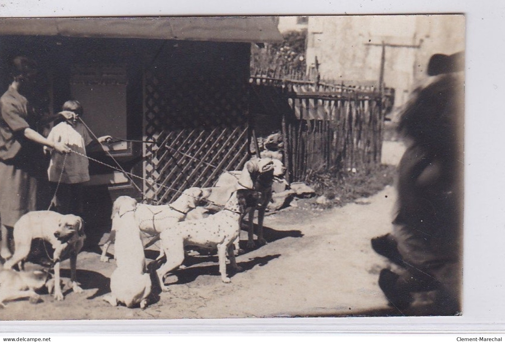 LIMOGES : Carte Photo Du Chenil De BEAUBLANC (chien De Chasse) - Très Bon état - Limoges