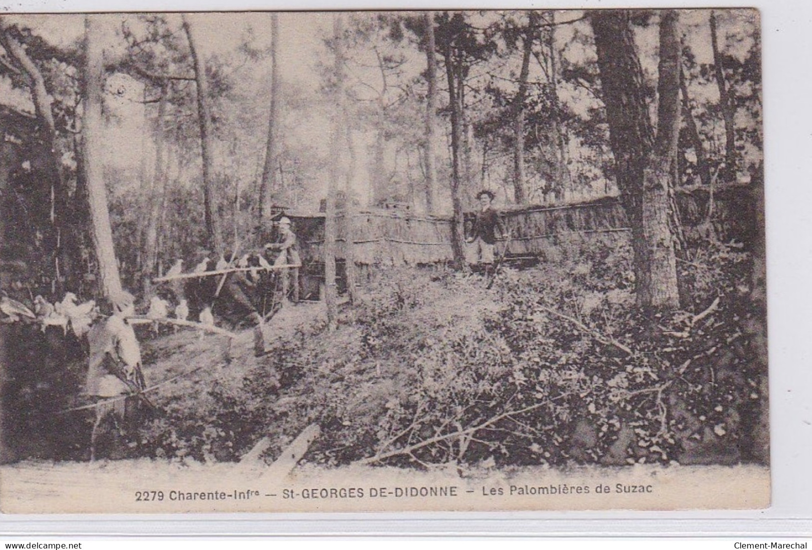 SAINT GEORGES DE DIDONNE : Les Palombières De Suzac - Bon état (un Coin Plié) - Saint-Georges-de-Didonne