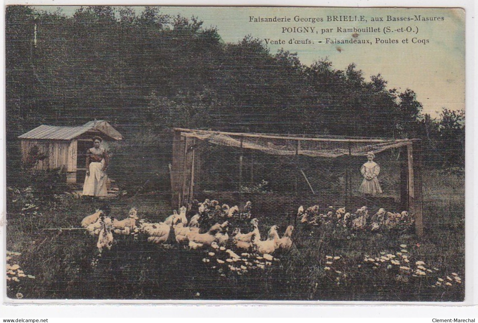 POIGNY Par Rambouillet : Faisanderie BRIELLE Aux Basses Masures - Ferme (toillée) - Très Bon état - Other & Unclassified