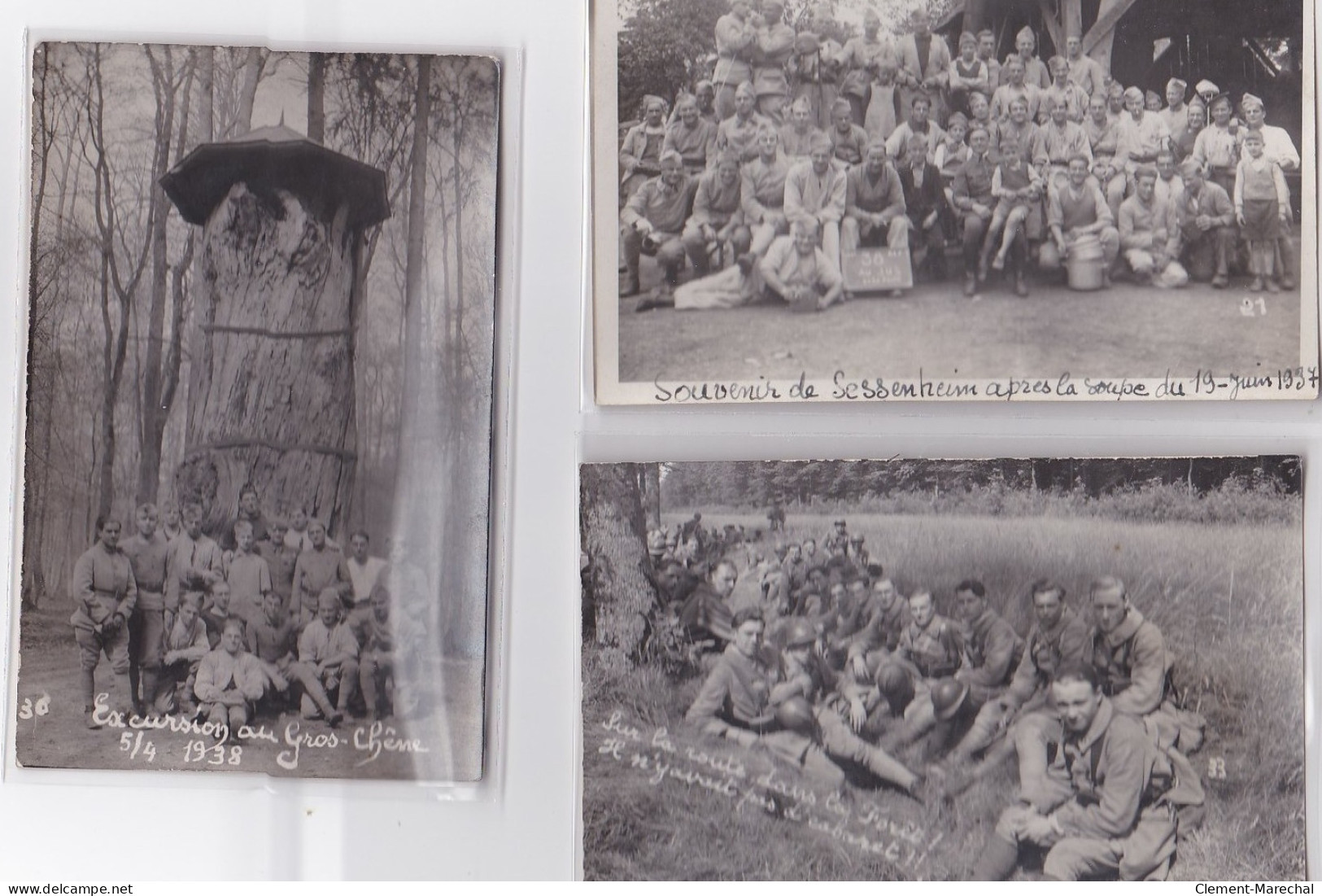 Excursion Au Gros Chêne - SESSENHEIM : Lot De 6 Cartes Photo (militaires - Compagnie Forestière - Bois) - Très Bon état - Autres & Non Classés