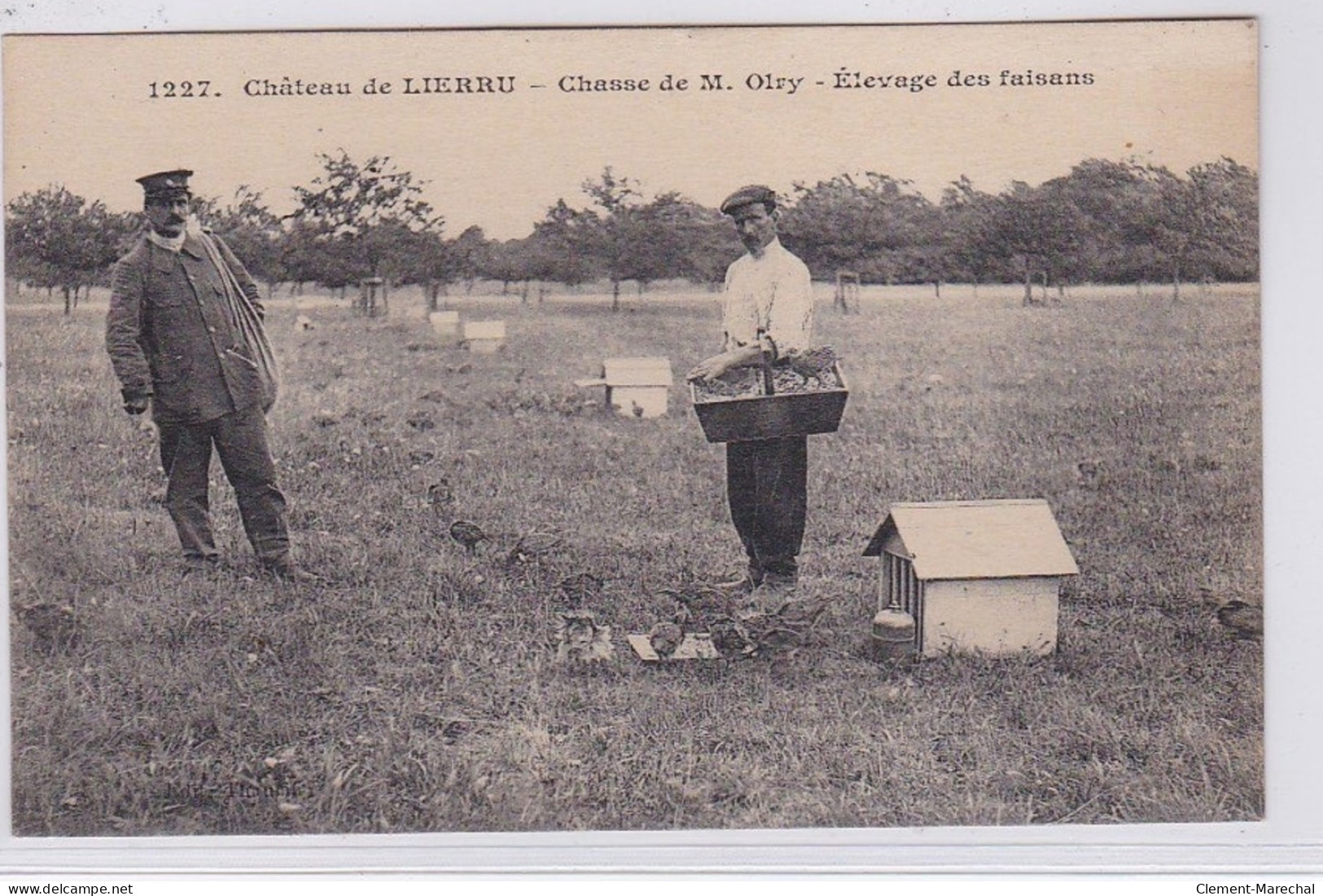 Chateau De LIERRU - Chasse De Mr. OLRY - élevage Des Faisans (chasse) - Très Bon état - Other & Unclassified