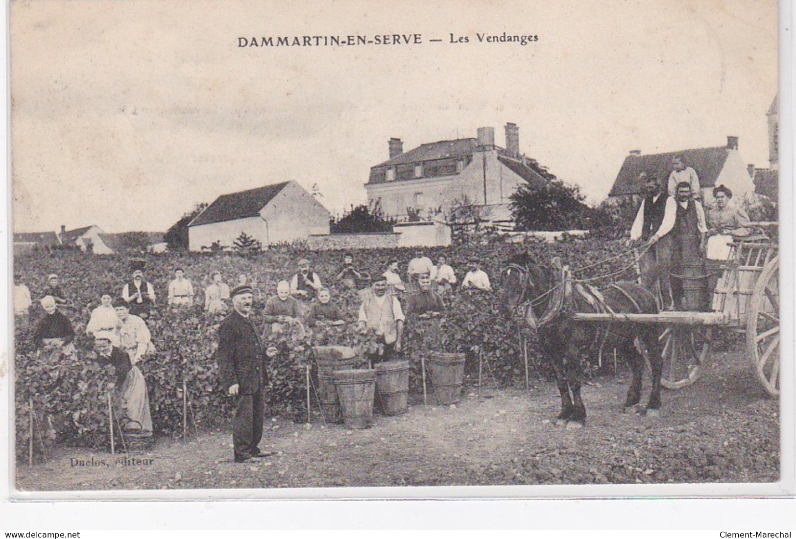 DAMMARTIN EN SERVE : Les Vendanges - Très Bon état - Otros & Sin Clasificación