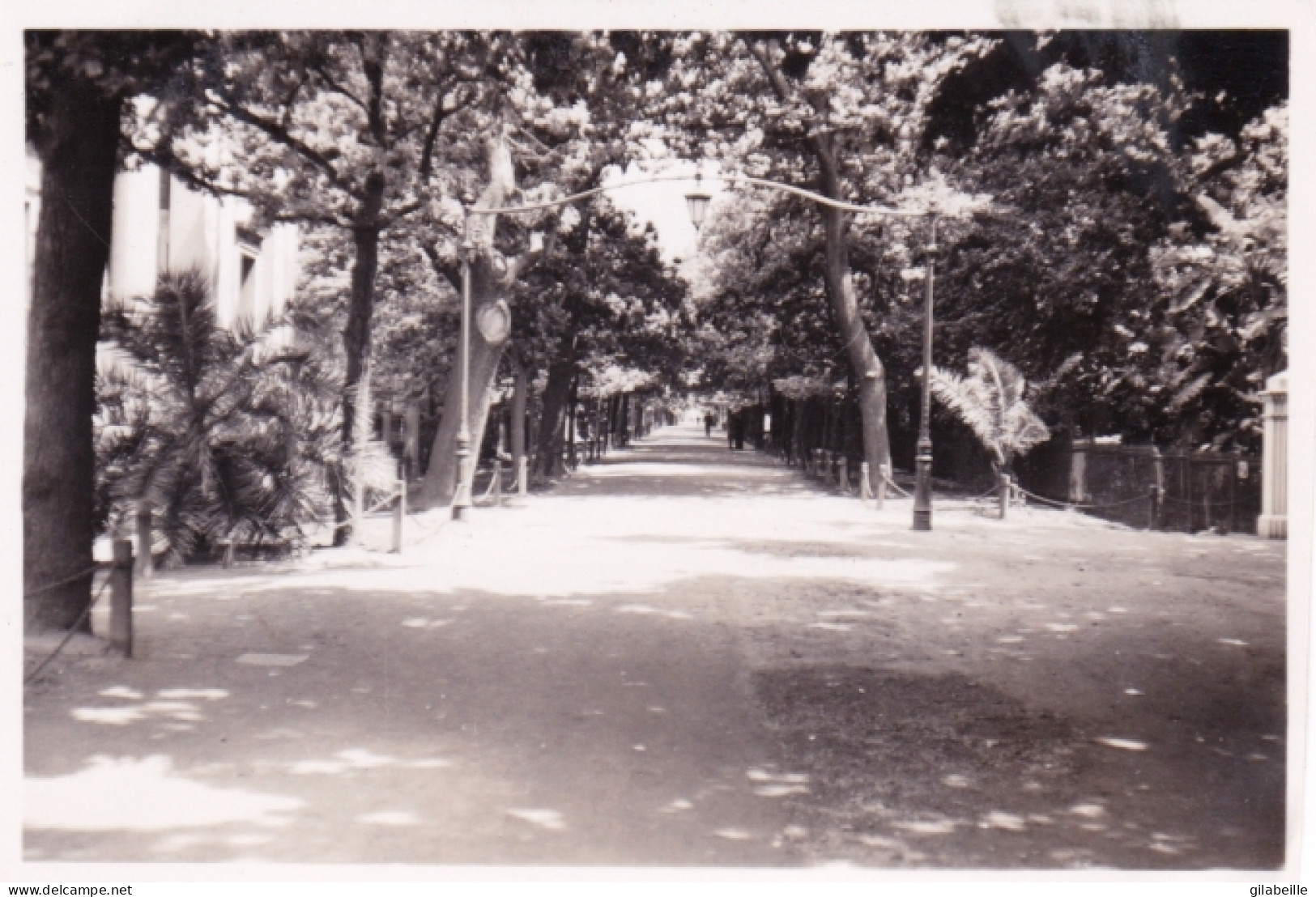 Photo Originale - South Africa - Afrique Du Sud - 1941 - CAP TOWN - LE CAP - The Avenue C.t Gardens - Plaatsen