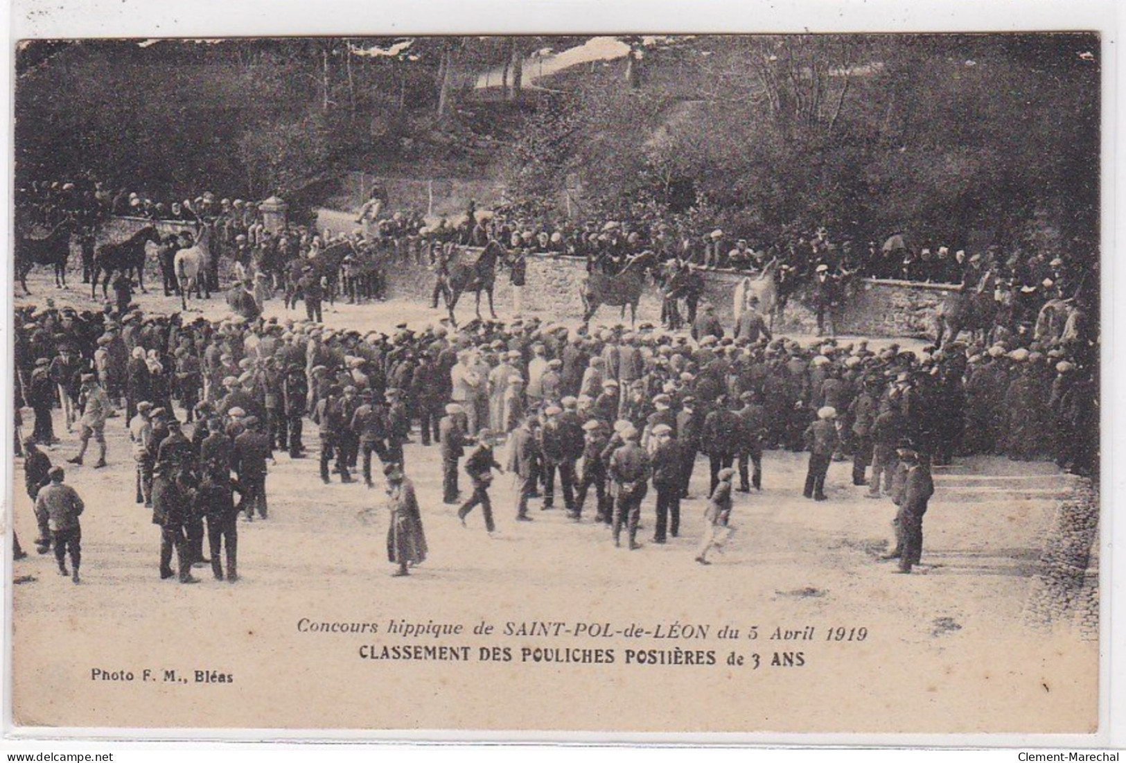 SAINT POL DE LEON : Concours Hippique En 1919 - Classement Des Pouliches Postières De 3 Ans (poste) - Très Bon état - Saint-Pol-de-Léon