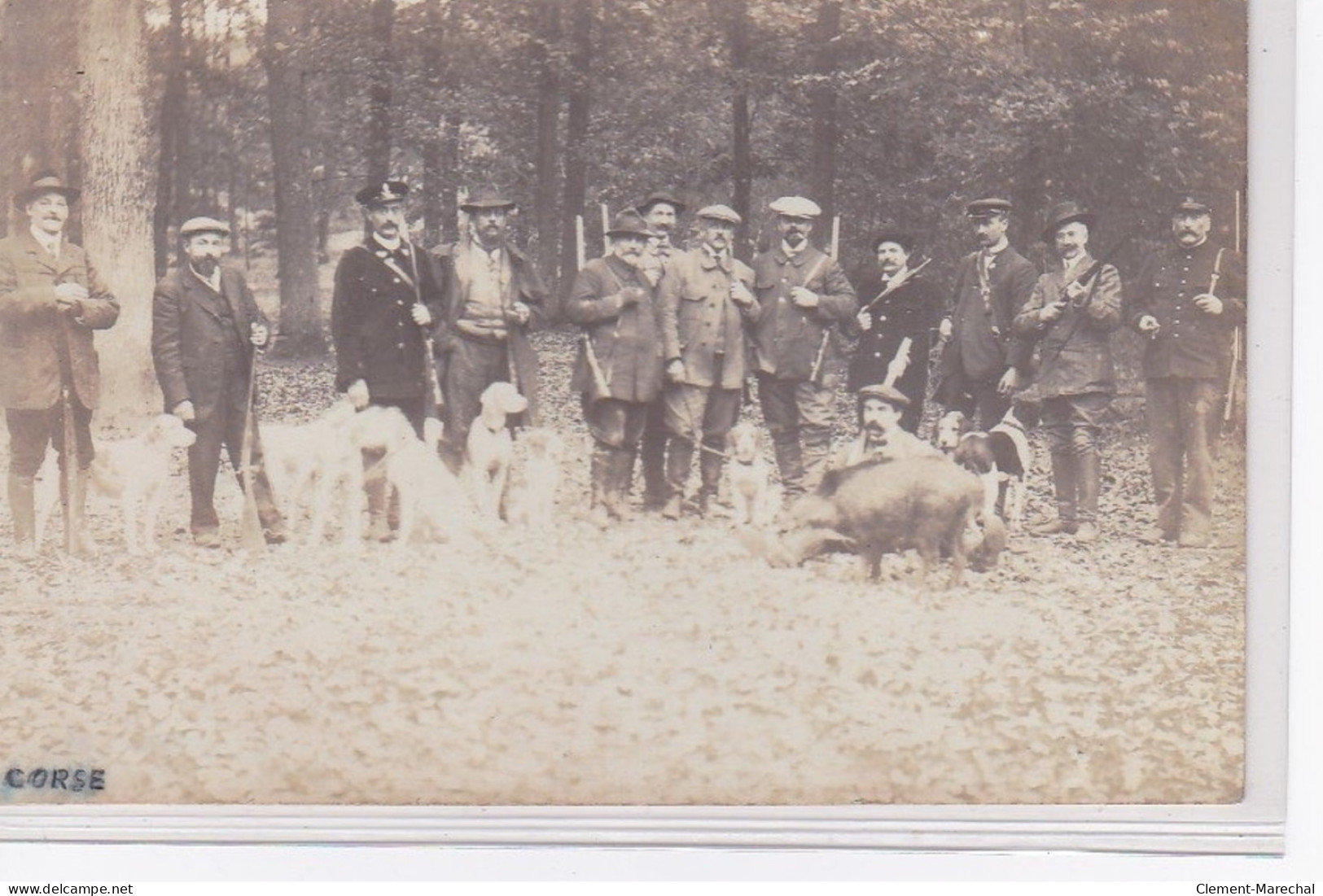 CORSE : Carte Photo D'une Chasse Au Sanglier Vers 1920 (photo BARTOLI à Porto Vecchio - Très Bon état - Sonstige & Ohne Zuordnung