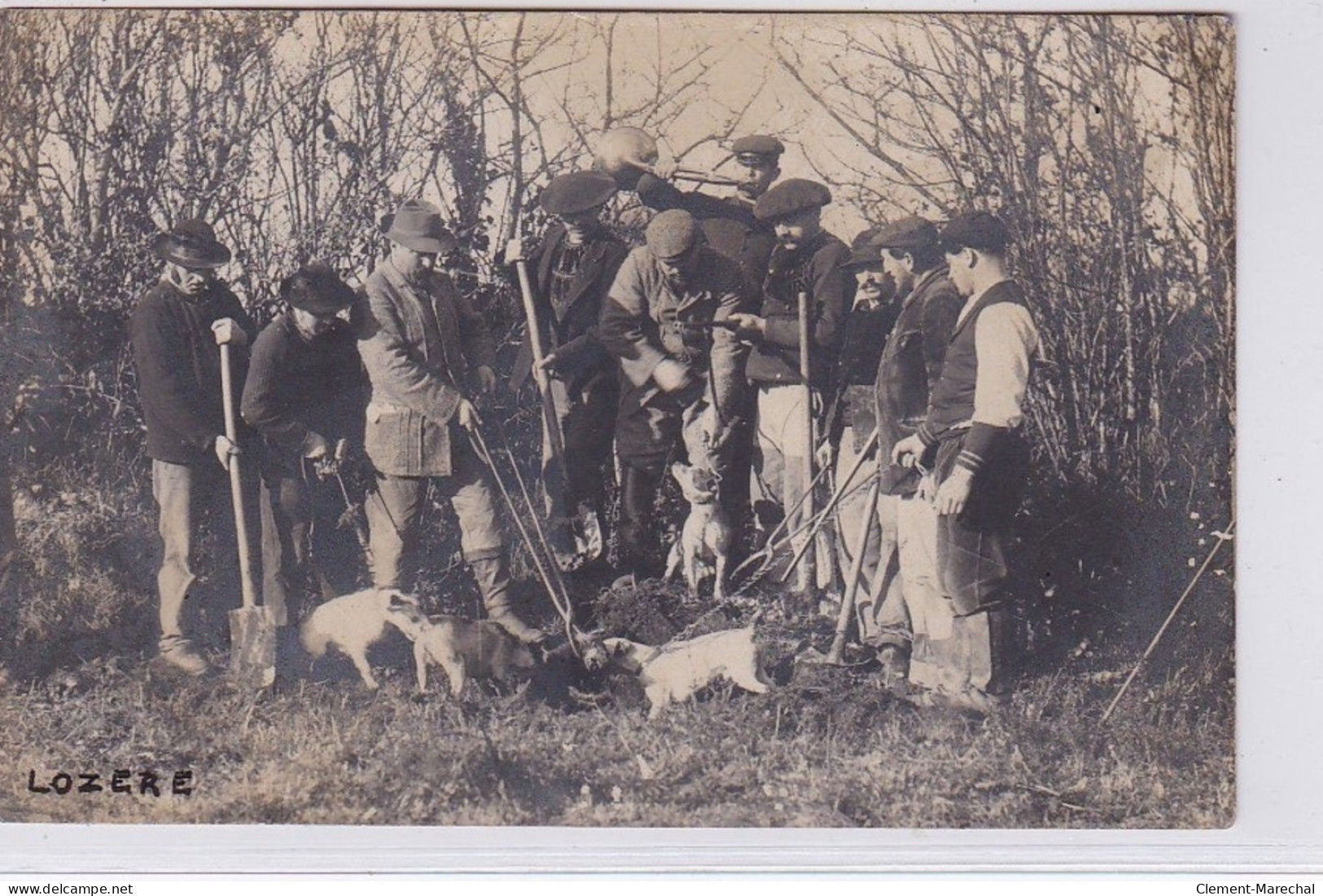 Carte Photo D'une Chasse Au Blaireau (photo VIEILLEDENT à Marvejols) - Très Bon état - Autres & Non Classés