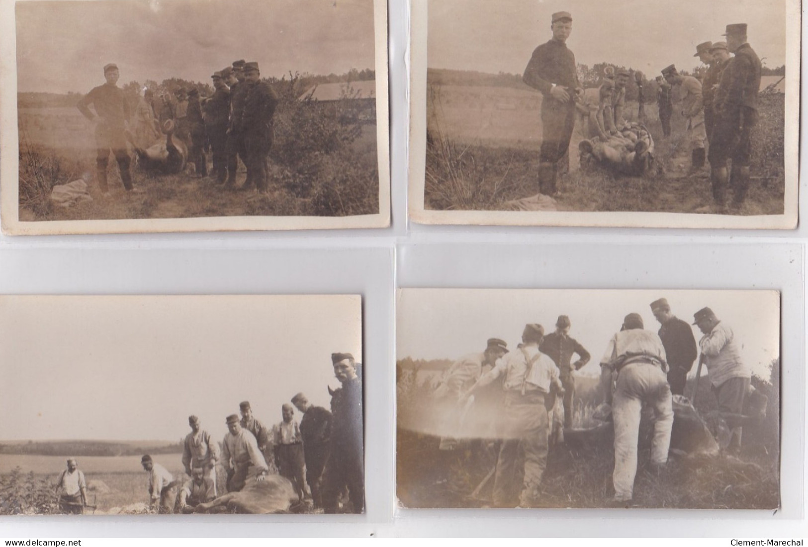 BRUYS : Lot De 7 Cartes Photo "autopsie D'un Cheval Mort Pendant La Première Guerre Mondiale (vétérinaire) Très Bon état - Other & Unclassified