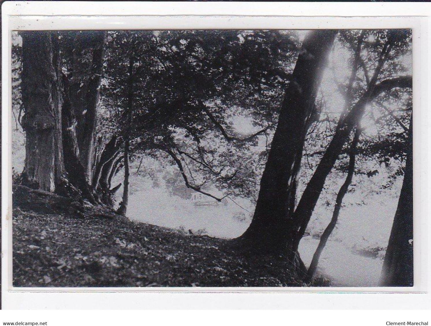 LYONS LA FORET : Carte Photo D'un Bord De Rivière - (procédé Photo Rare) - Très Bon état - Lyons-la-Forêt