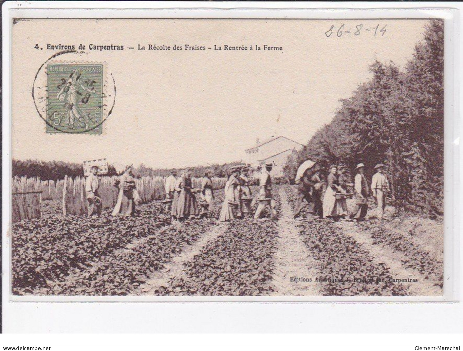 Environs De CARPENTRAS : La Récolte Des Fraises - La Rentrée à La Ferme - Très Bon état - Sonstige & Ohne Zuordnung