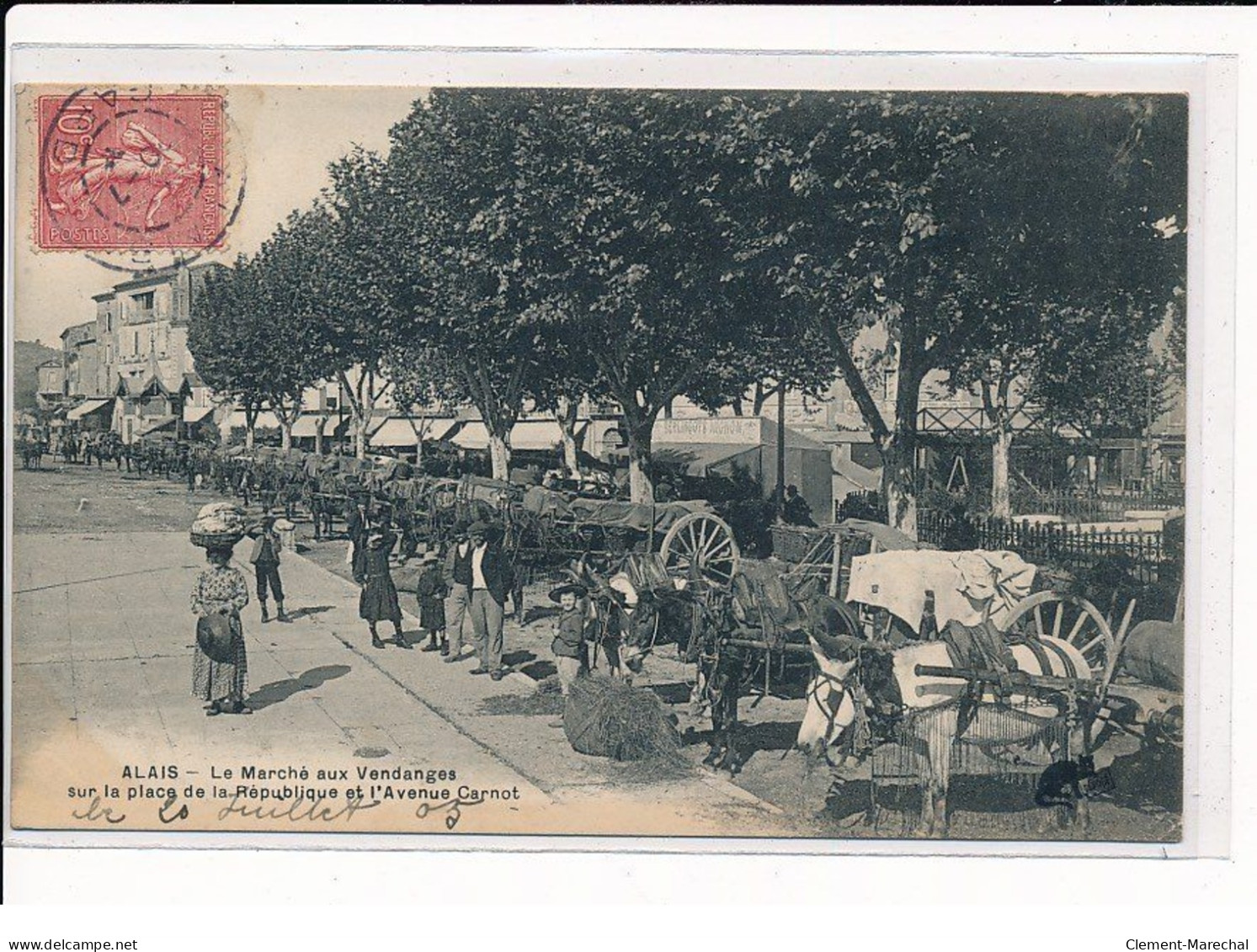 ALAIS : Le Marché Aux Vendanges Sur La Place De La République Et L'Avenue Carnot - Très Bon état - Other & Unclassified