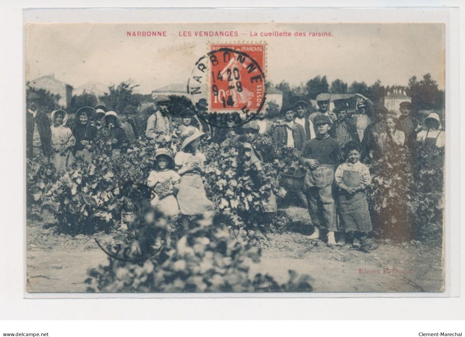 NARBONNE - Les Vendanges - La Cueillette Des Raisins - Très Bon état - Narbonne