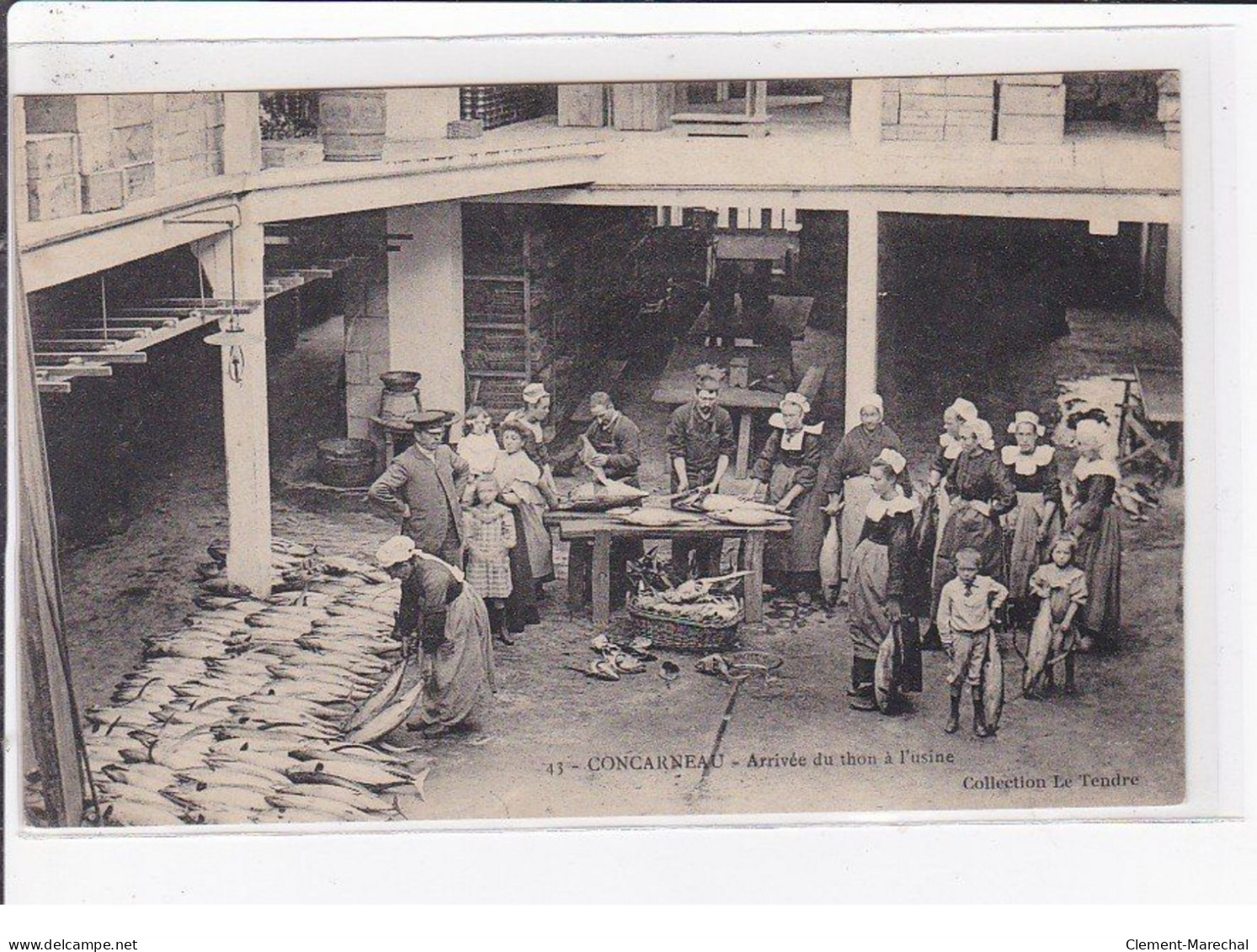 CONCARNEAU : Arrivée Du Thon à L'usine - Très Bon état - Concarneau