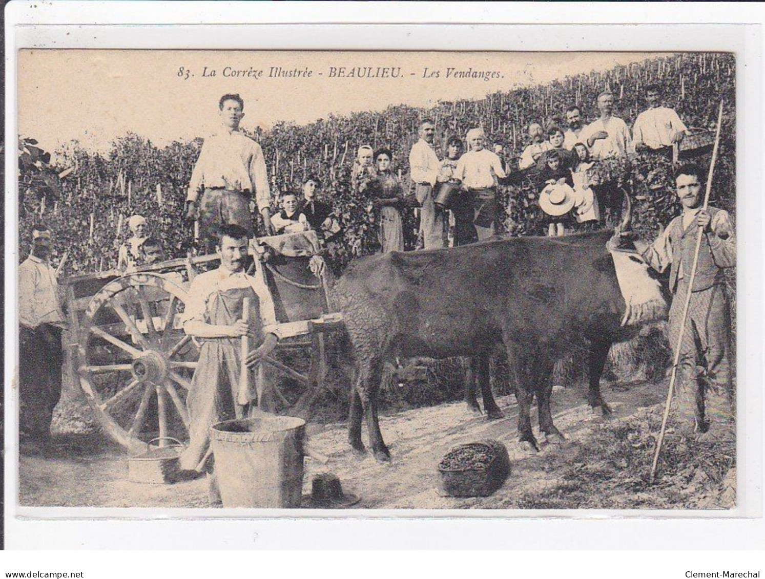 BEAULIEU : Les Vendanges (la Correze Illustrée) - Très Bon état - Autres & Non Classés