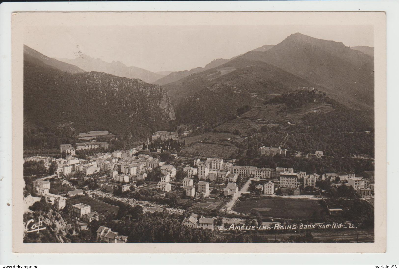 AMELIE LES BAINS - PYRENEES ORIENTALES - AMELIE LES BAINS DANS SON NID - Amélie-les-Bains-Palalda