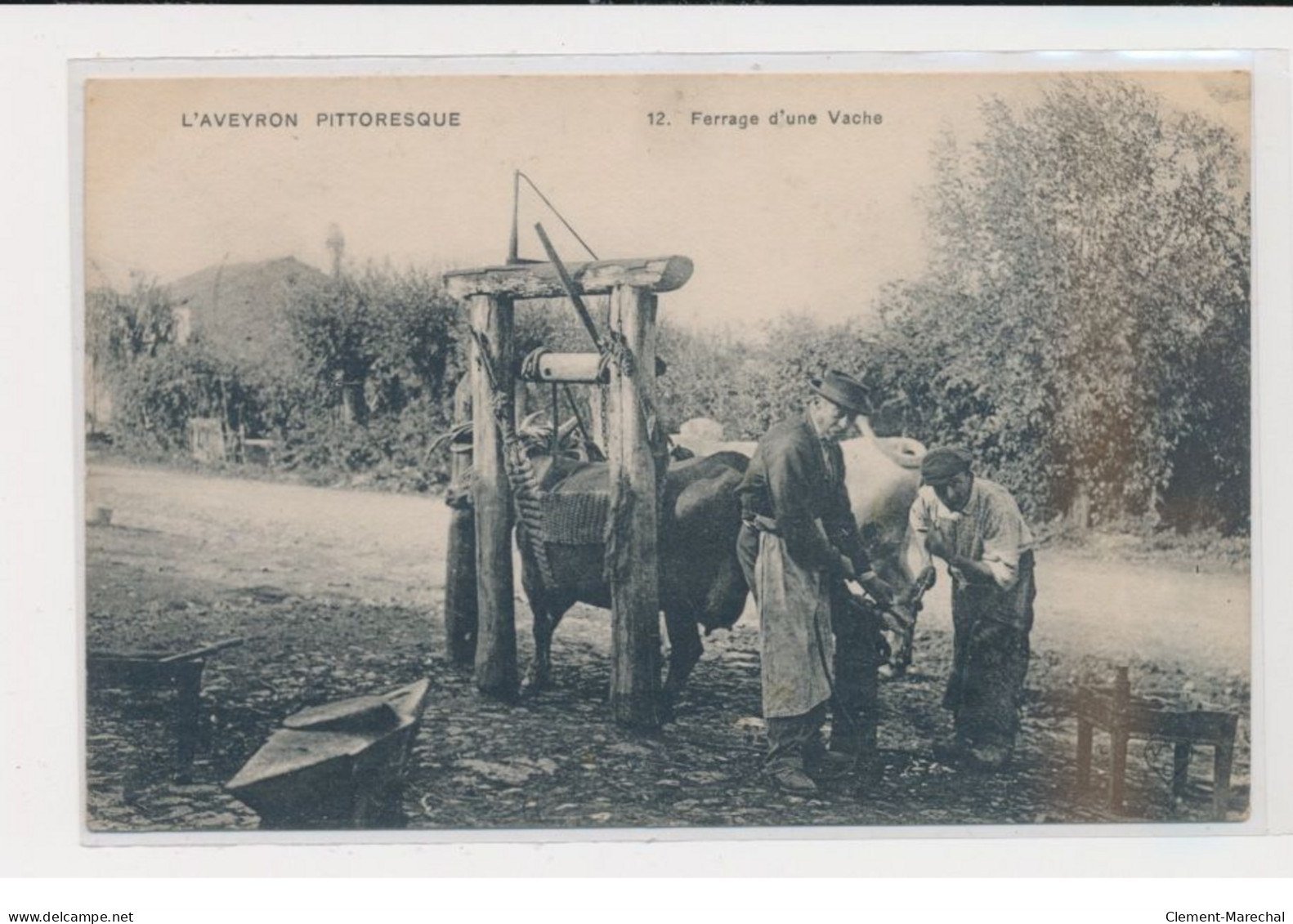 L'Aveyron Pittoresque - Ferrage D'une Vache - Très Bon état - Autres & Non Classés