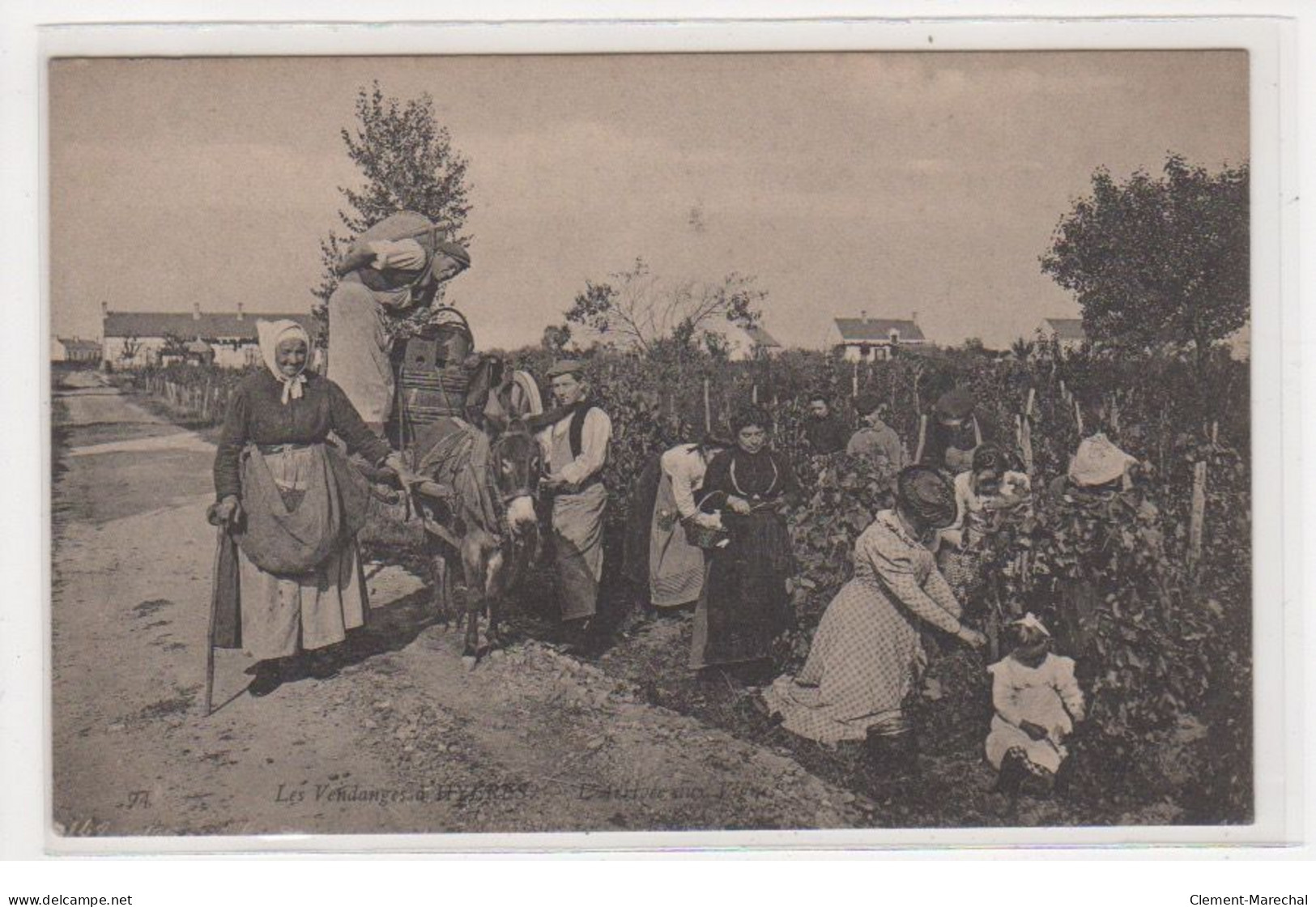 HYERES : Les Vendanges - L'arrivée Aux Vignes (ND - Neurdein) - Très Bon état - Hyeres