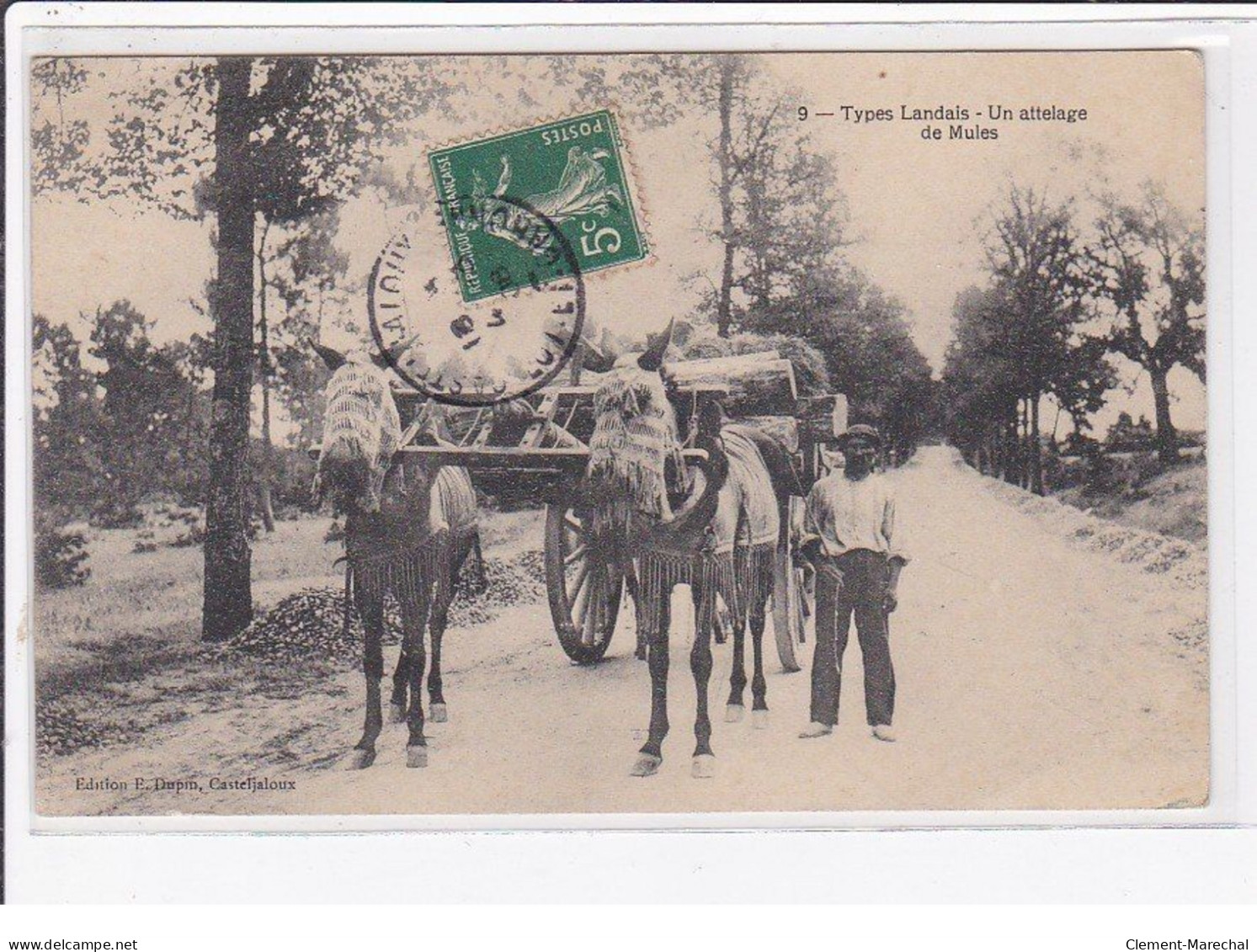 TYPES LANDAIS : Un Attelage De Mules - Très Bon état - Autres & Non Classés