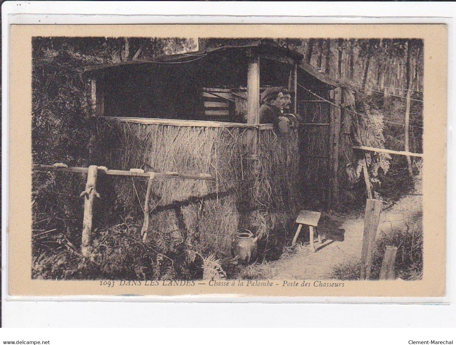 Dans Les LANDES : Chasse à La Palombe - Poste Des Chasseurs - état - Andere & Zonder Classificatie