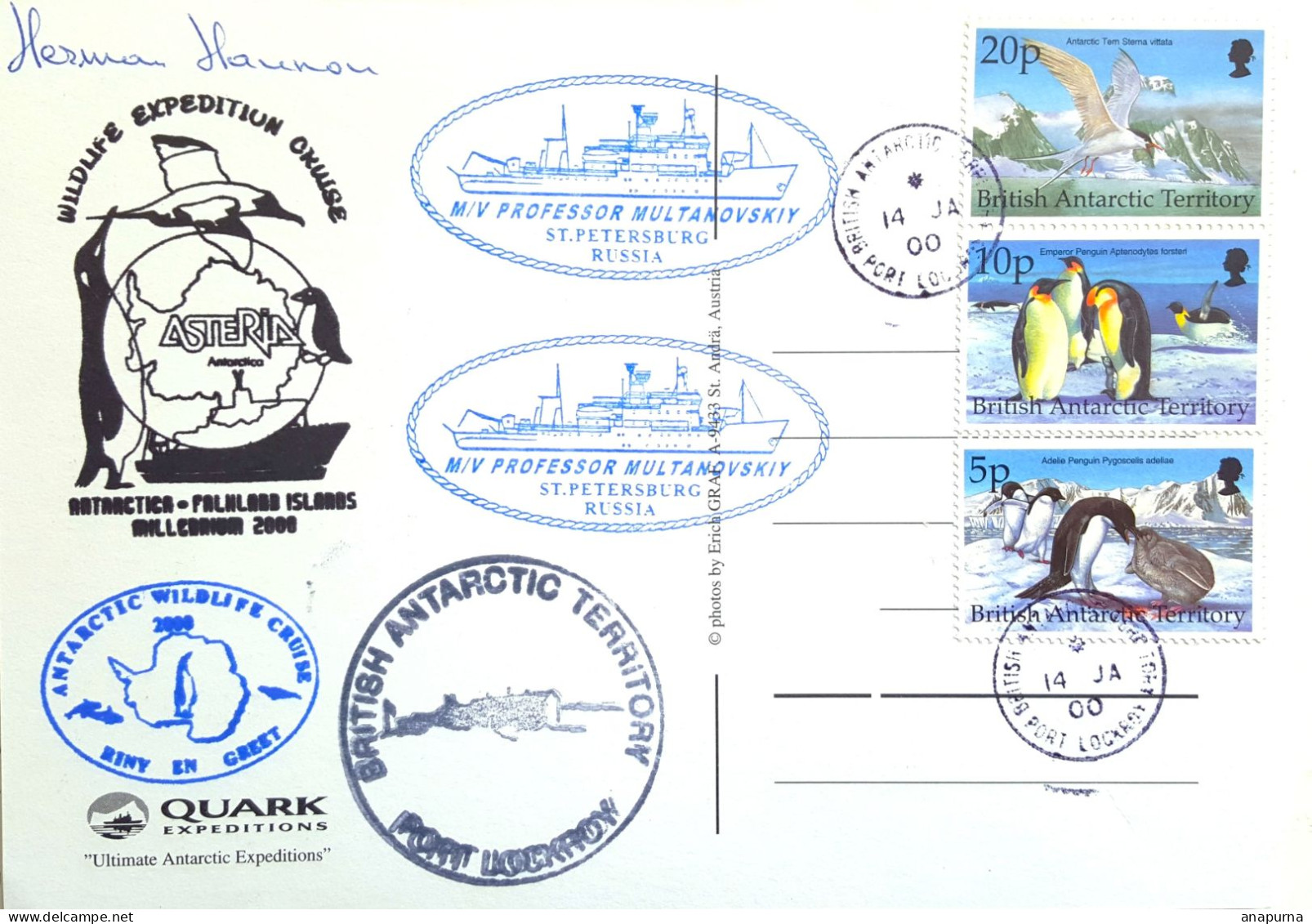 Carte, British Antarctic Territory, Port Lockroy, Falklands, Multanovskiy, Wildlife, Asteria, Polaire, Antarctique - Cartas & Documentos