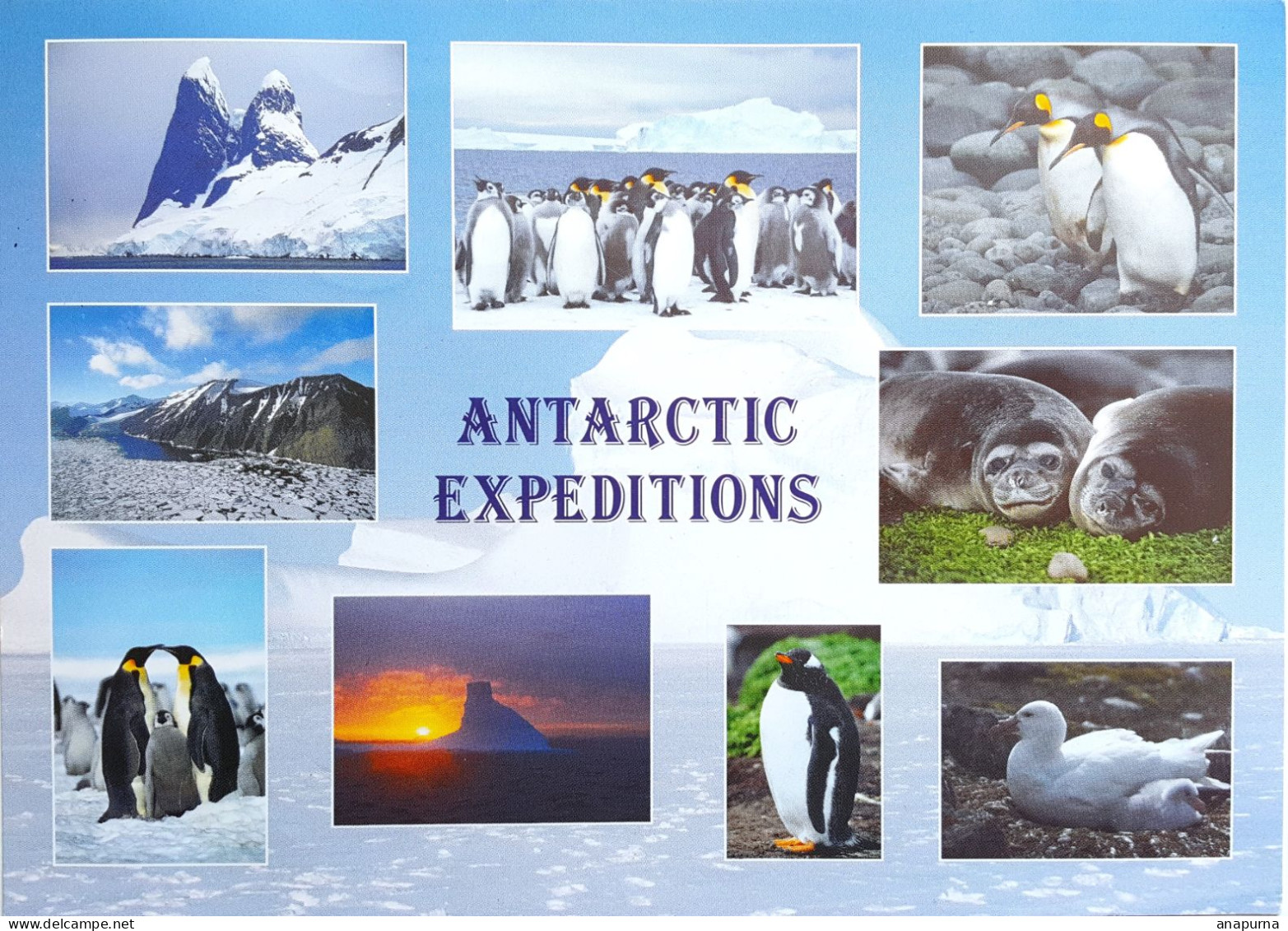 Carte, British Antarctic Territory, Port Lockroy, Falklands, Multanovskiy, Wildlife, Asteria, Polaire, Antarctique - Covers & Documents