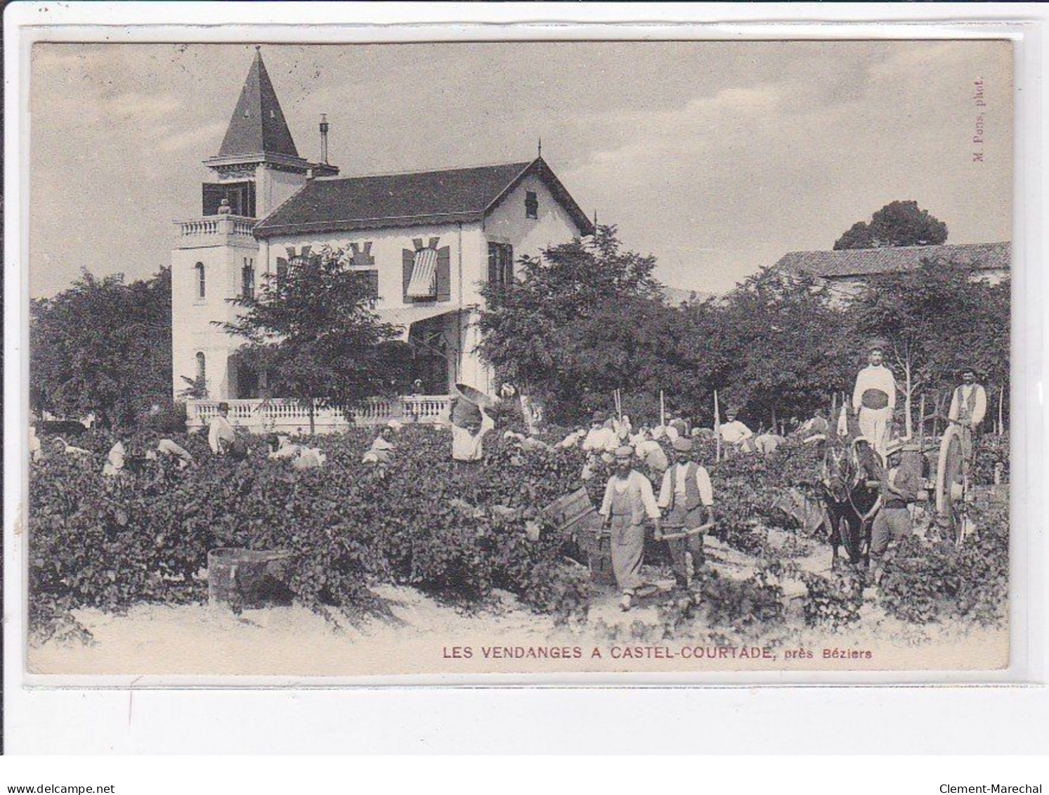 Les Vendanges à CASTEL COURTADE Près BEZIERS - Très Bon état - Sonstige & Ohne Zuordnung