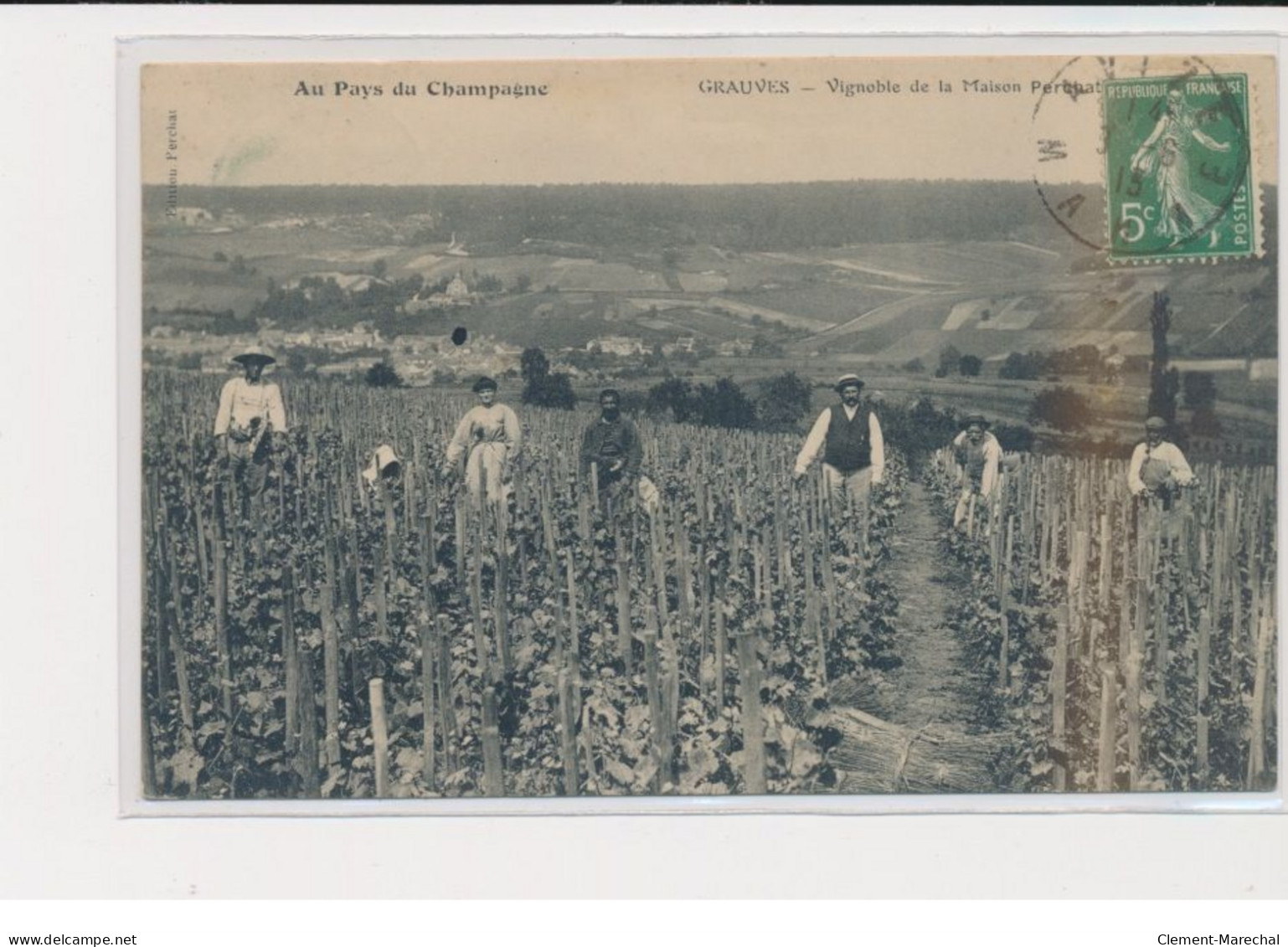 GRAUVES - Vignobles De La Maison Perchat - Au Pays Du Champagne - Très Bon état - Other & Unclassified