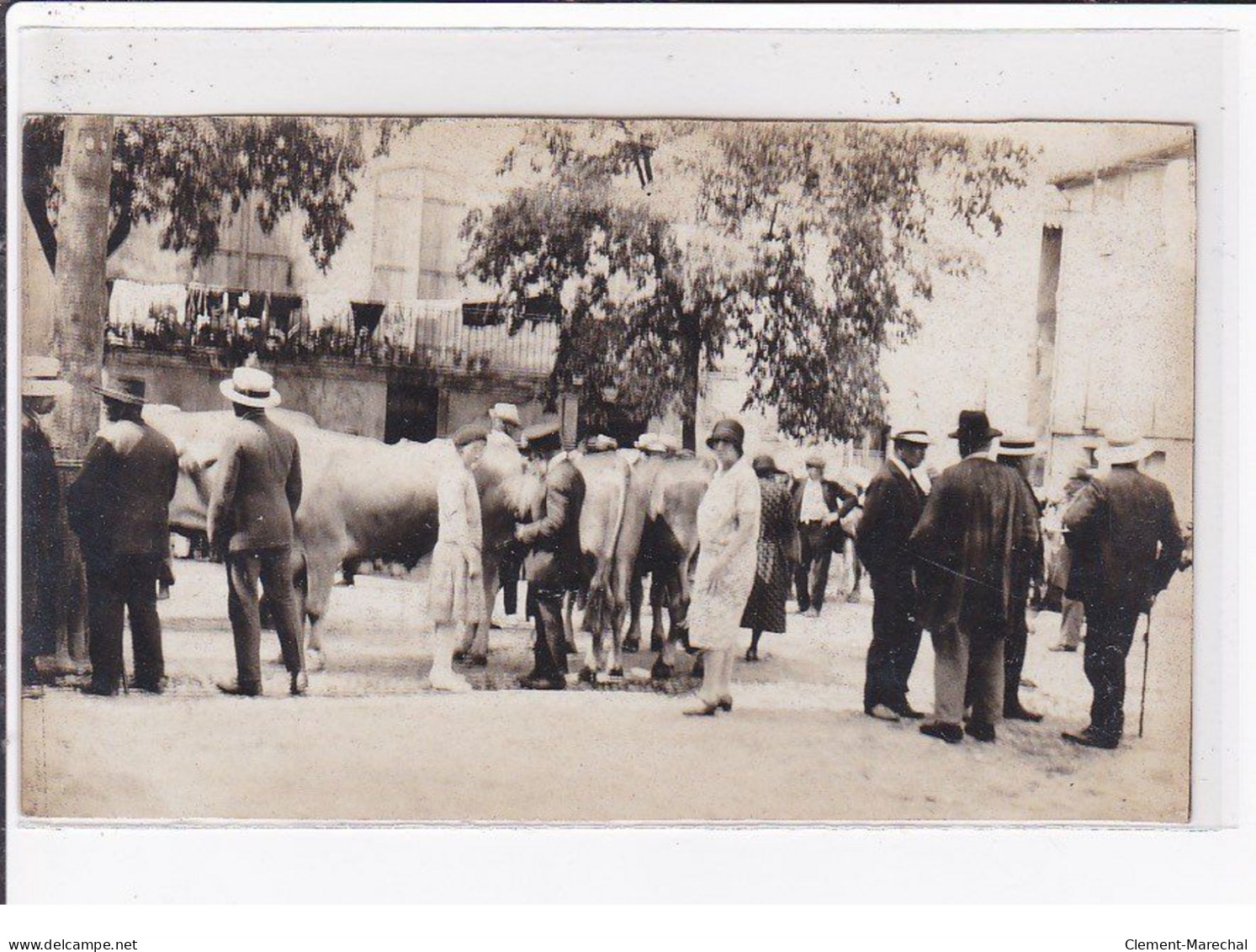 CASTELSARRASIN : Photo Format 8x14cm D'un Marché Aux Boeufs En 1928 - Très Bon état - Castelsarrasin