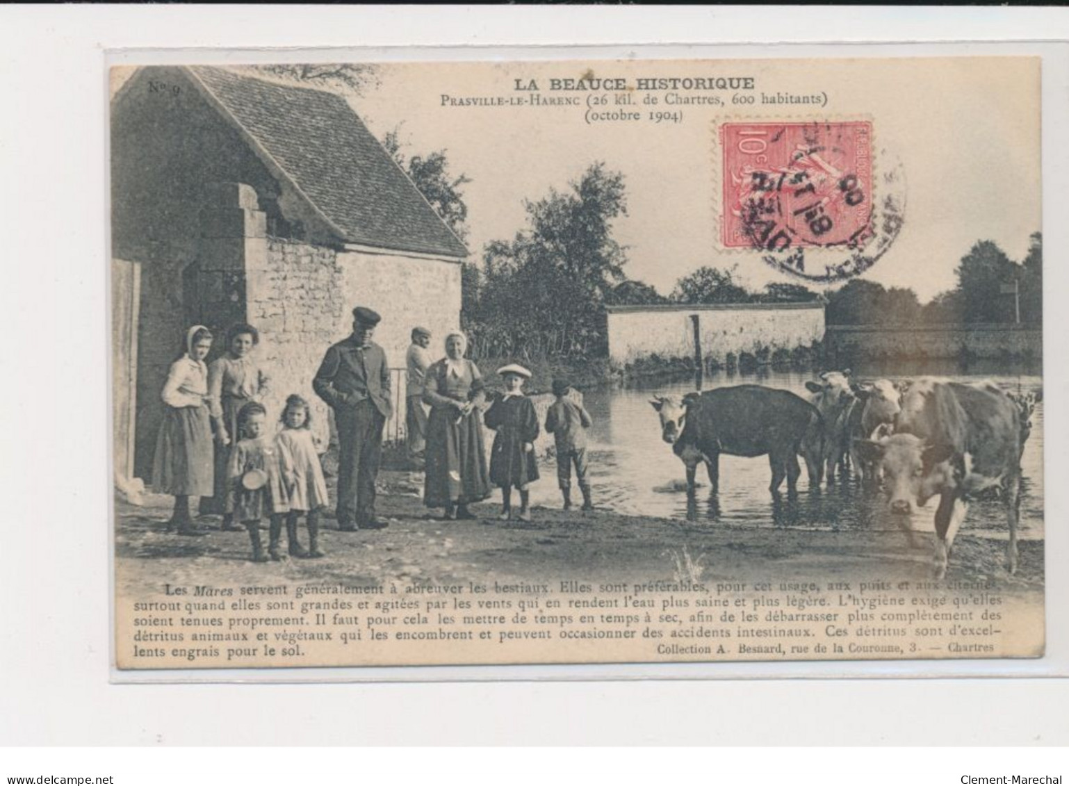 PRASVILLE LE HARENC - Mares - Bestiaux - Octobre 1904 - Très Bon état - Autres & Non Classés